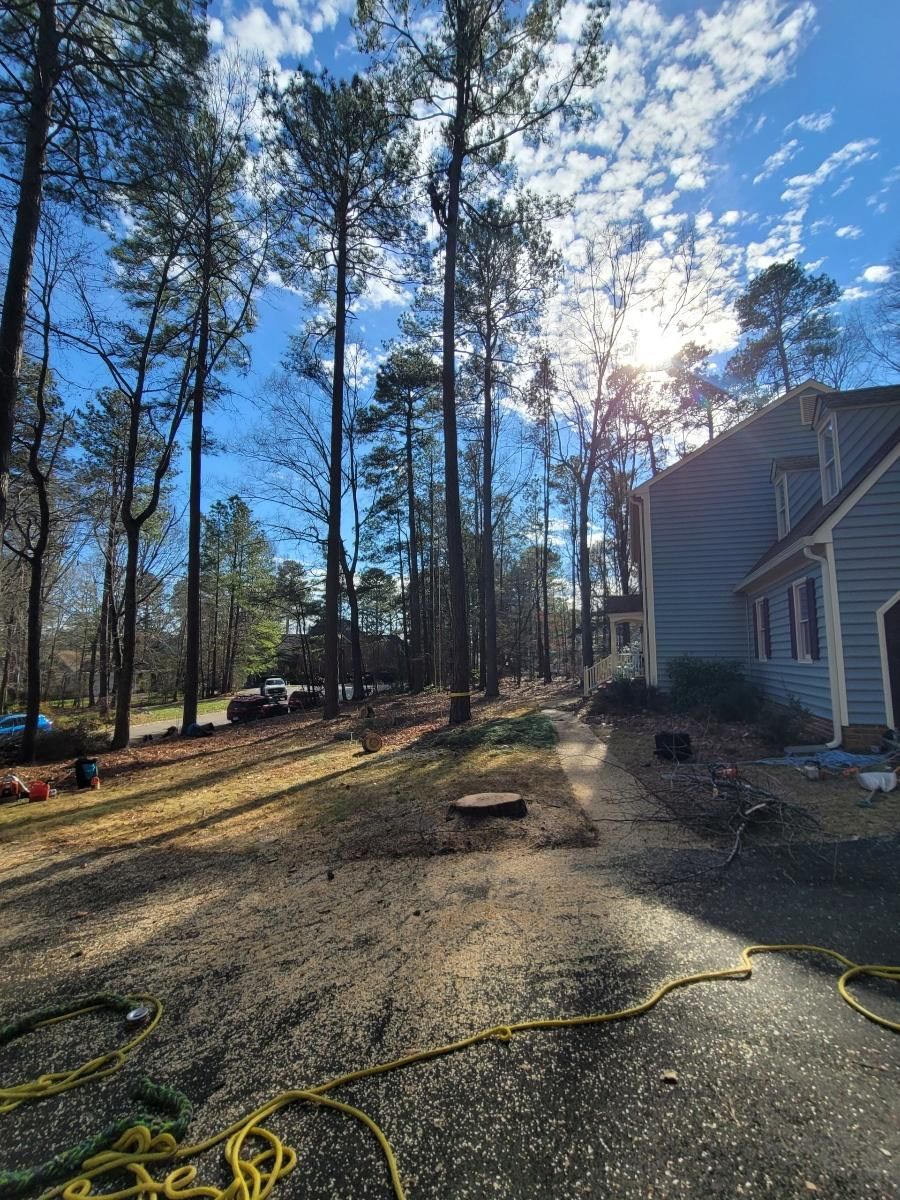  for Integrity Tree and Landscaping in Lynchburg, VA