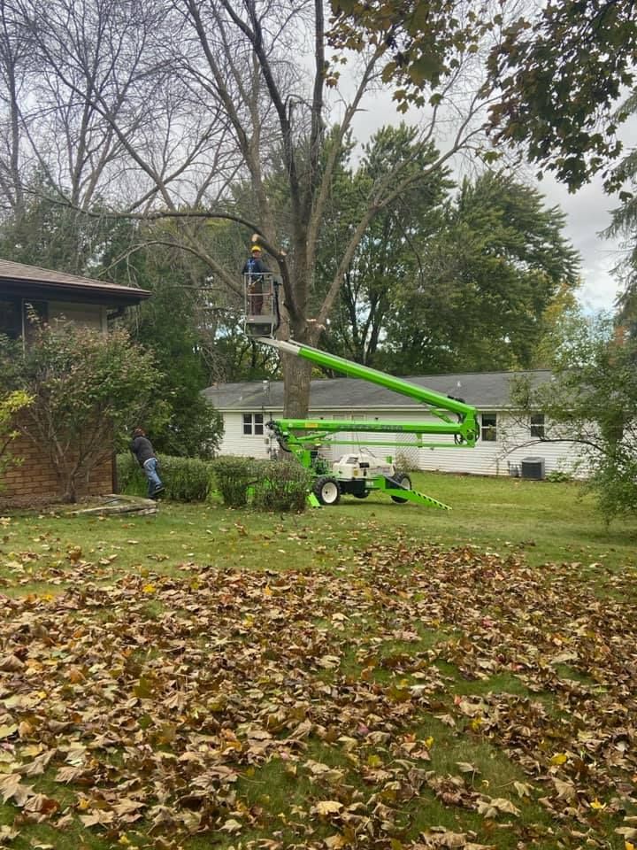  for Tree-B-Gone in Shawano, WI