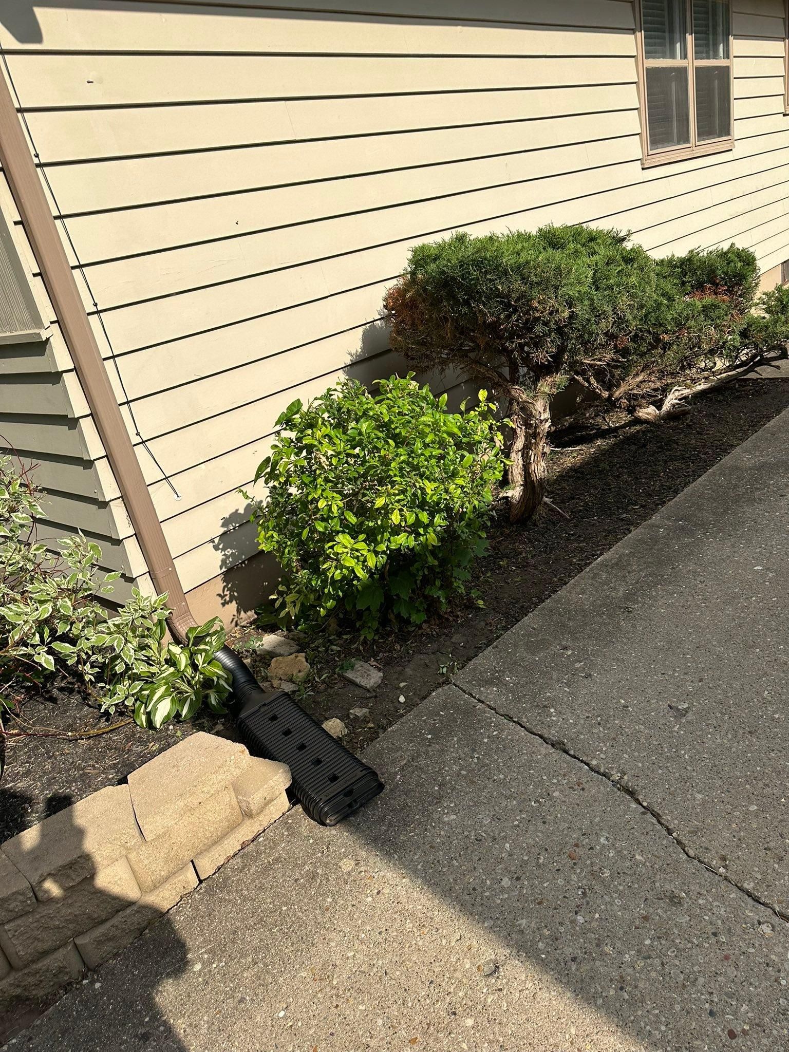  for Cena Landscaping in Rockford, IL