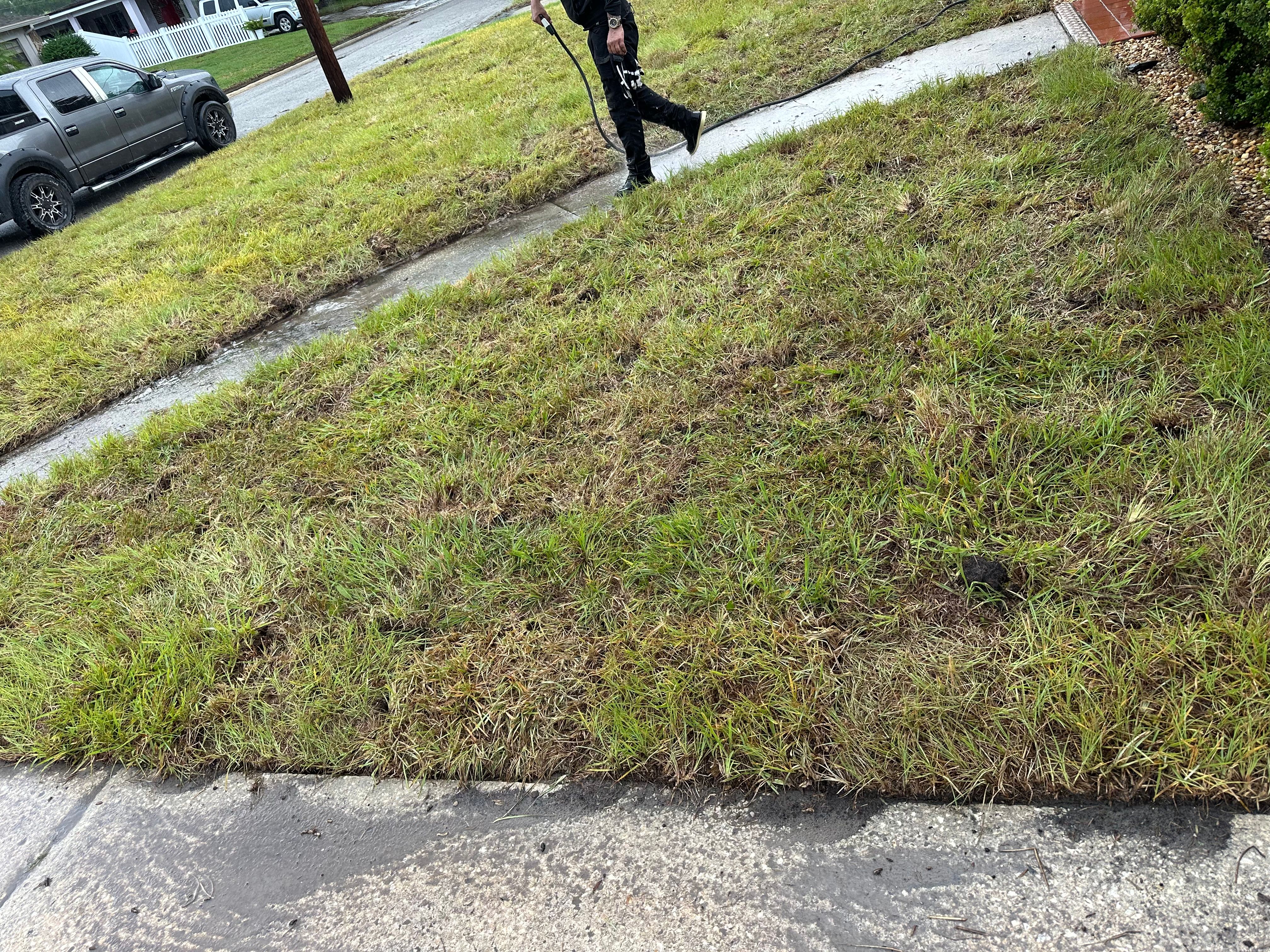  for Gulf Bay Sod in Clearwater, FL