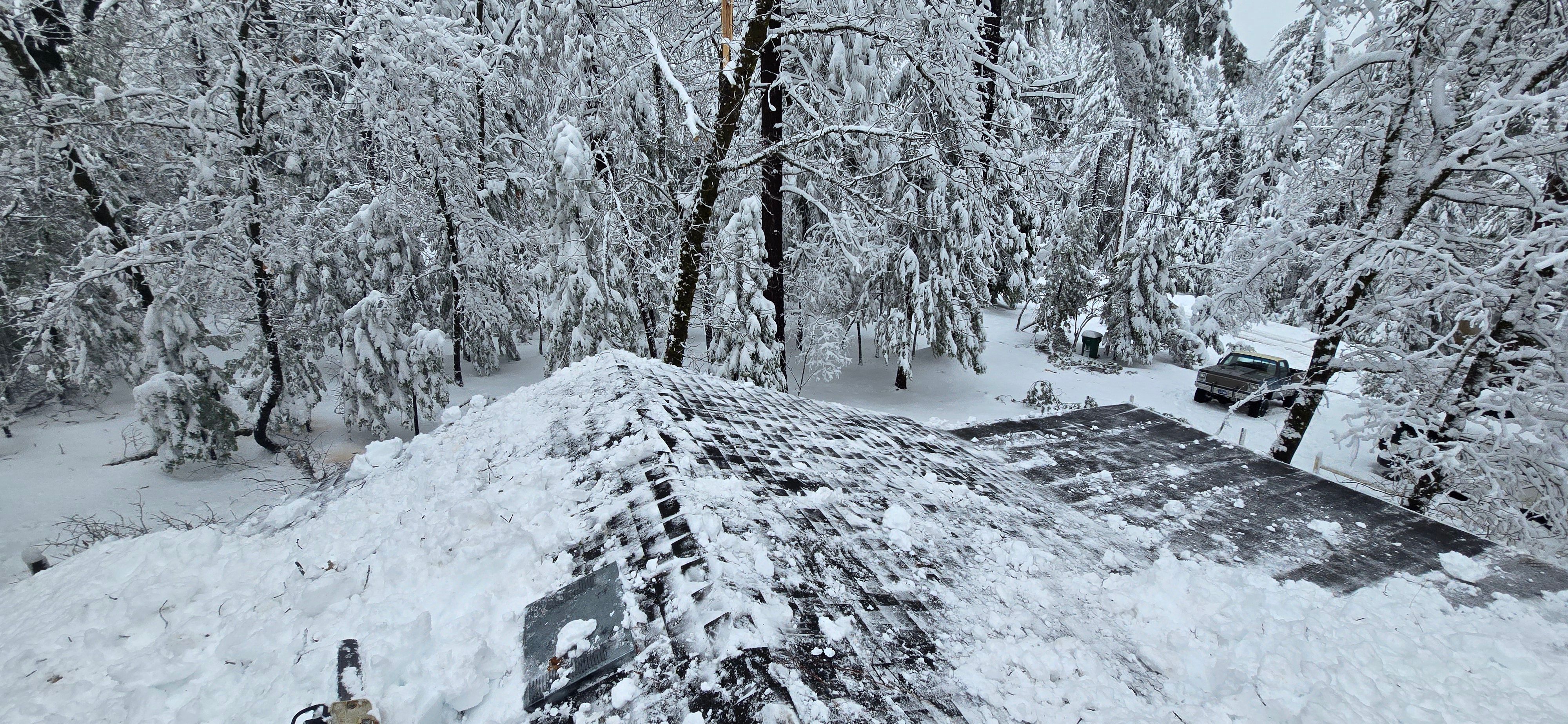  for George Staddan's Professional Tree Care in Placerville, CA