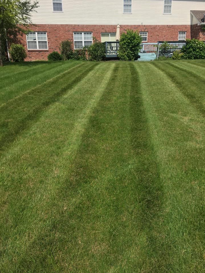  for Vega's Lawncare and Landscaping in Noblesville,  IN