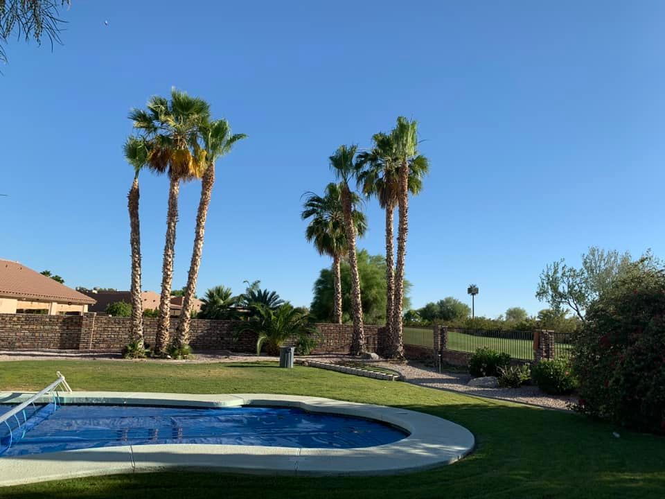 Tree Removal for Oliver L. Palm & Tree services in Yuma, AZ