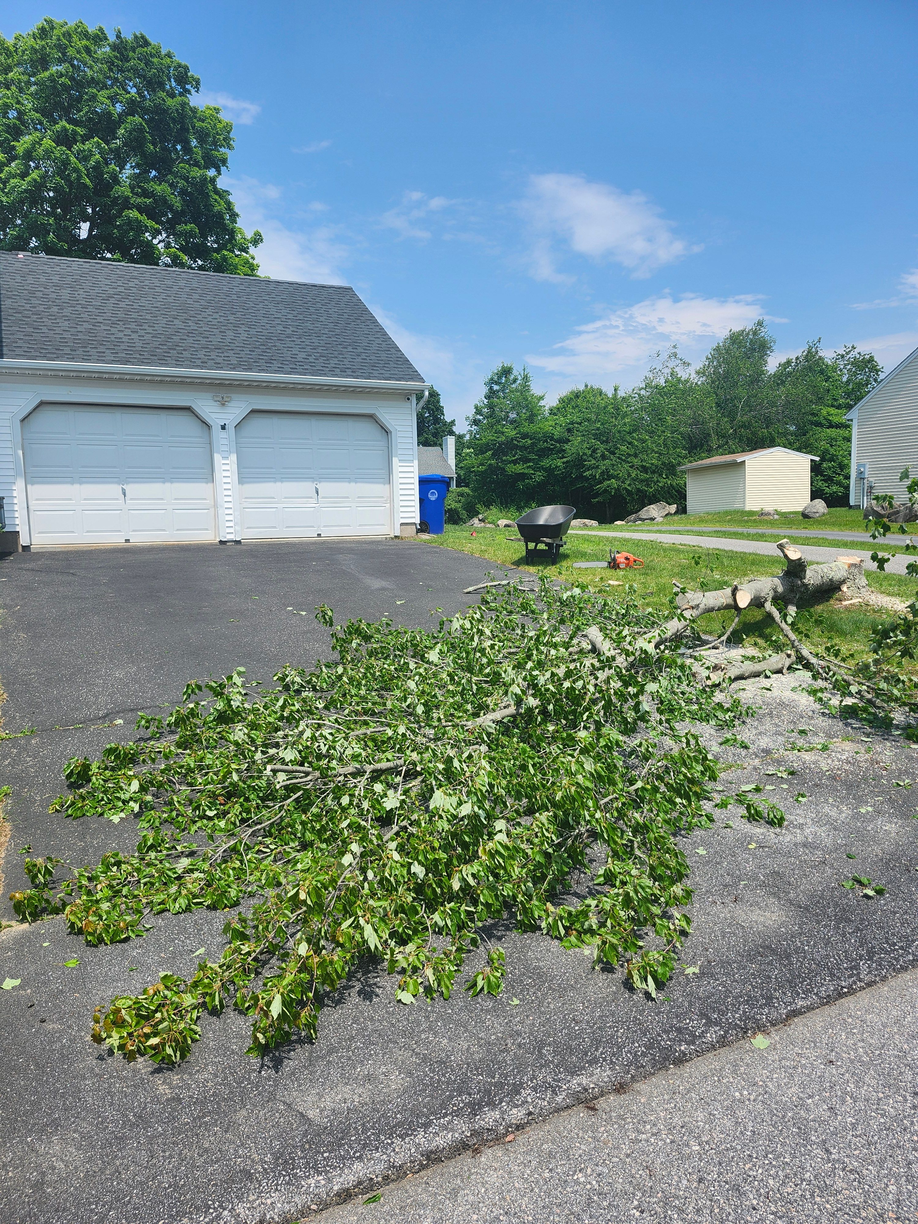 Hedge/Tree/Brush Cutting for Landscape Innovations LLC in Torrington, CT