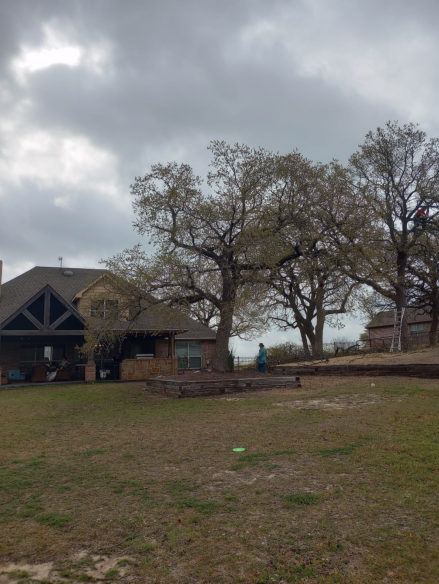  for Marks Tree Service in Fort Worth, TX