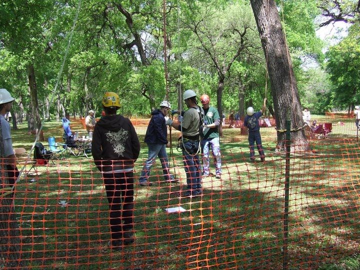  for TLC Professional Tree Service in Bedford, TX