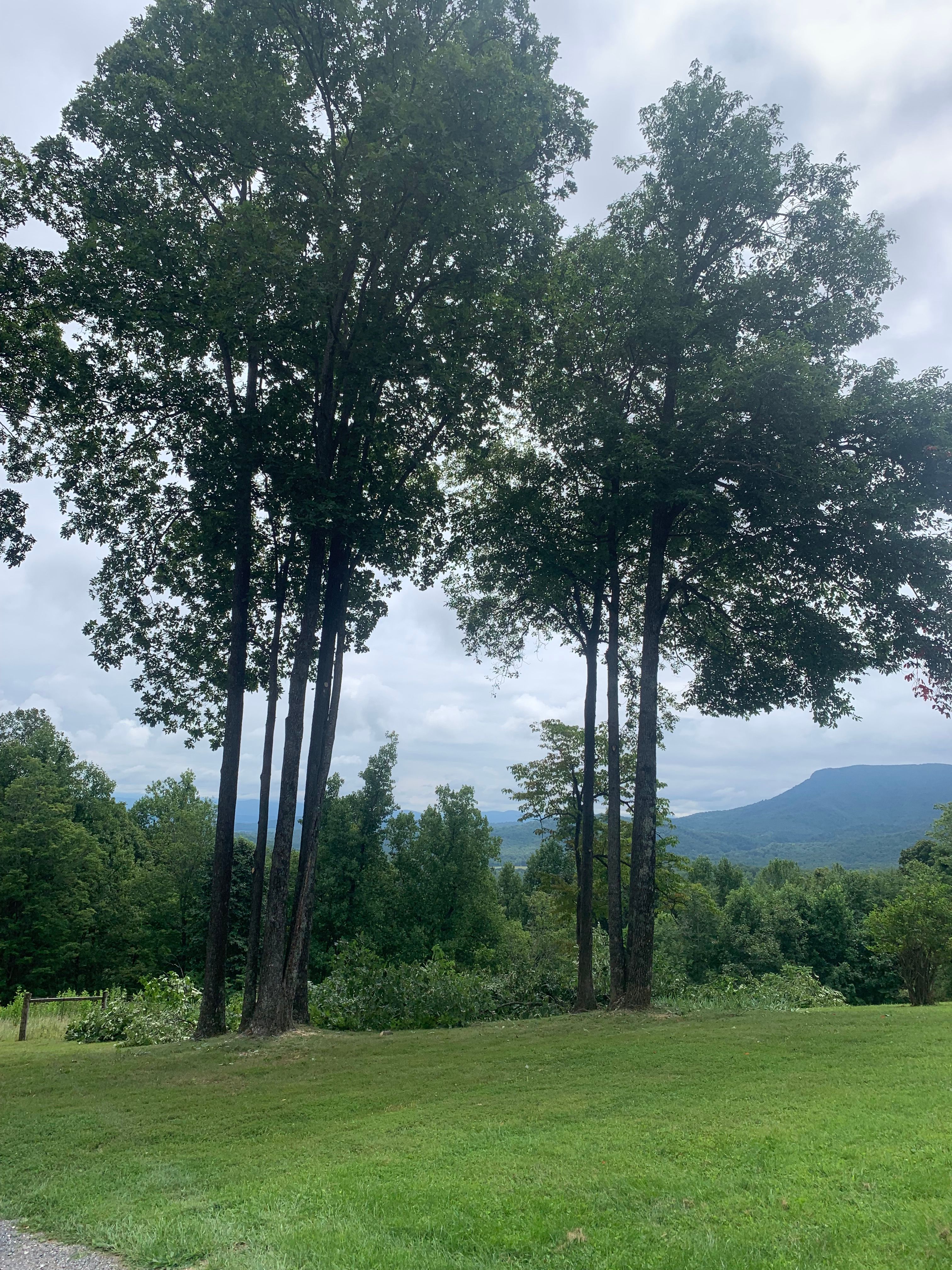 All Photos for VA Landgrowth LLC in Lexington, VA