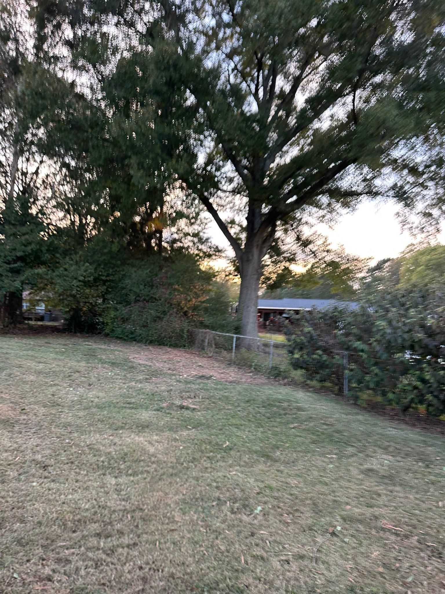  for Queen’s Landscaping in Kernersville, NC