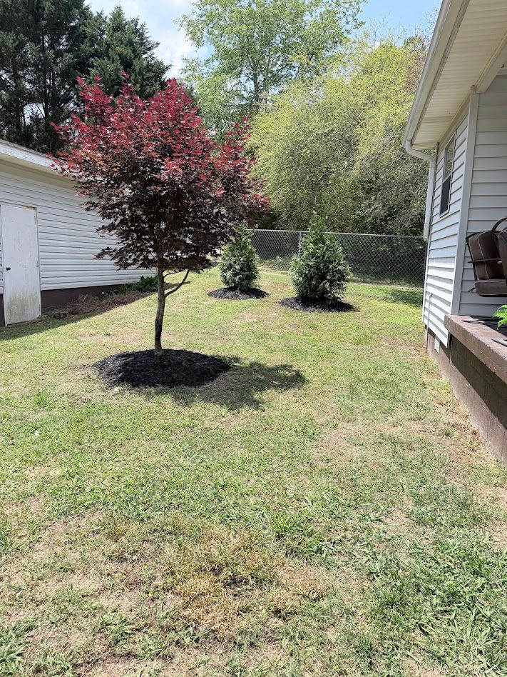 for Buddy’s Outdoor Solutions in Rome, GA