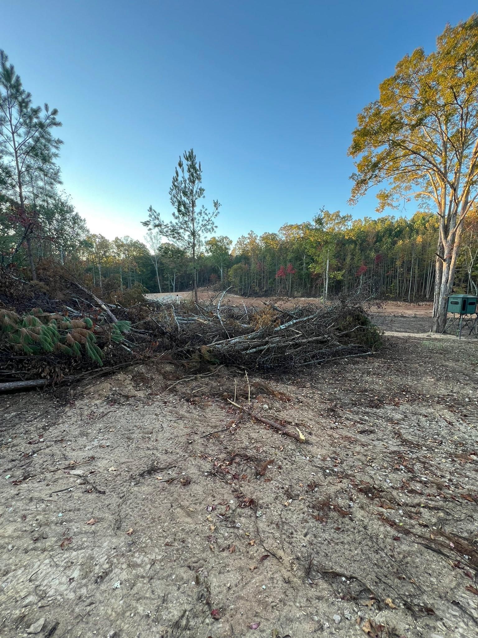  for Southern Roots Services in Carrollton, GA