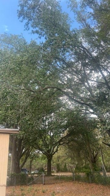  for All Seasons Tree and Land Works in Trenton, FL