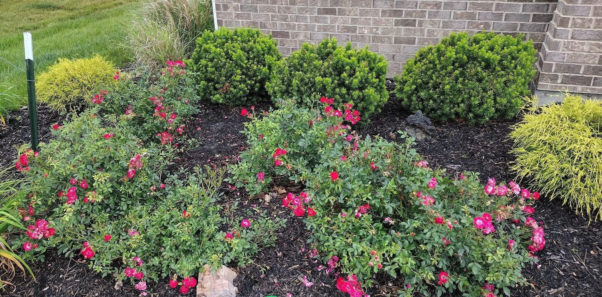  for Bearforce Lawn Care LLC in Greenfield, IN