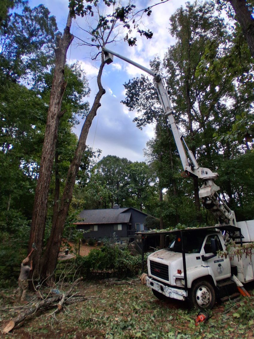  for K-2 Tree Service in Shelby, NC
