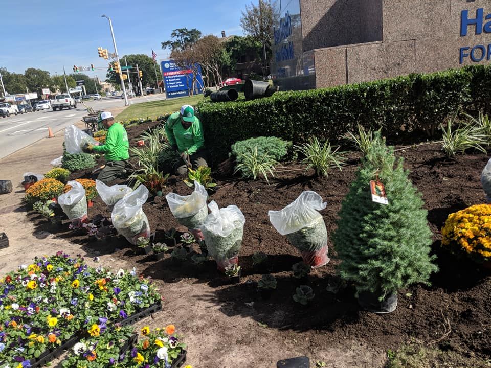  for Mira Vista Landscaping in Everman, TX