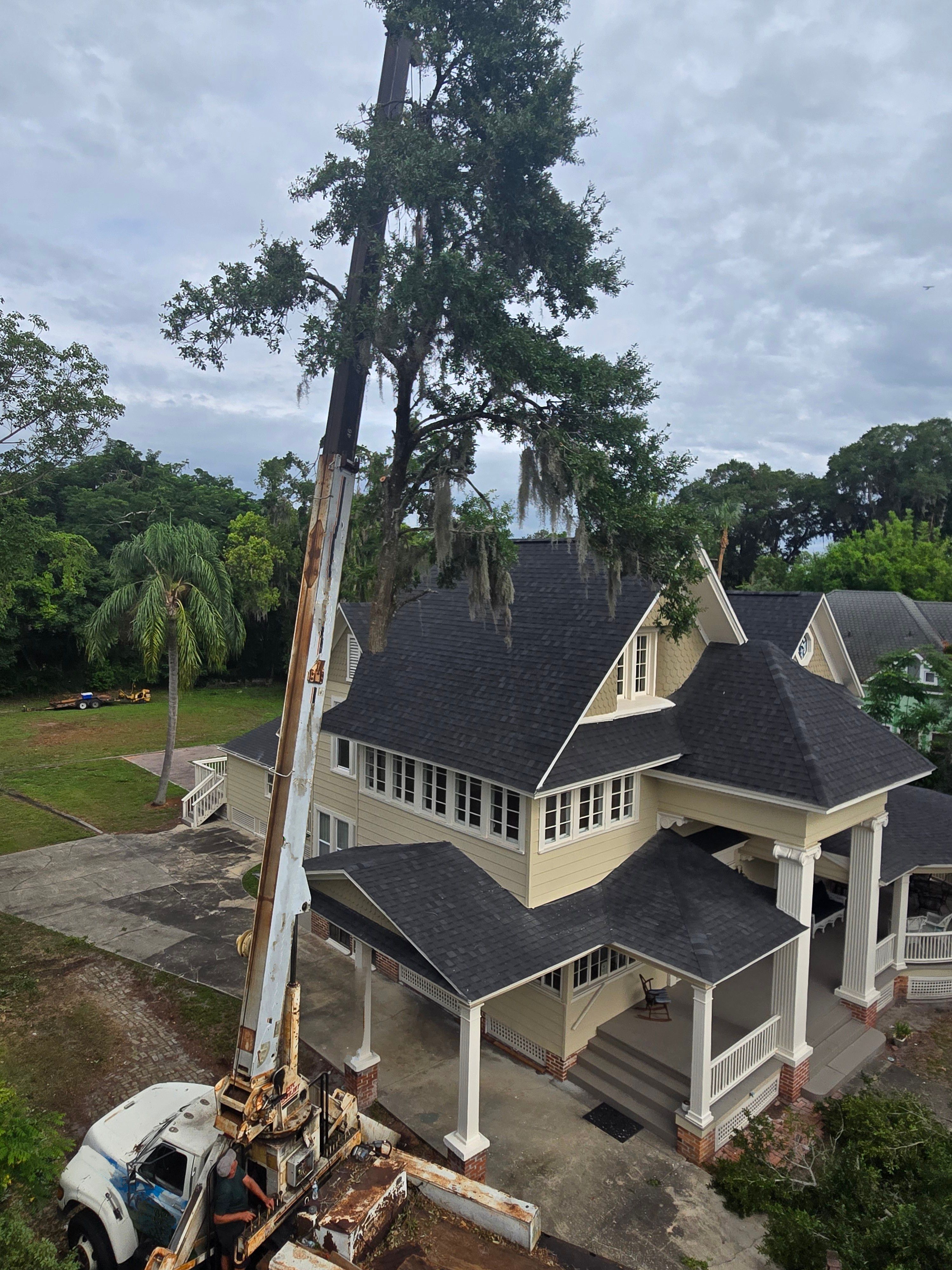 All Photos for Near Me Tree Service, Inc. in DeLand, FL
