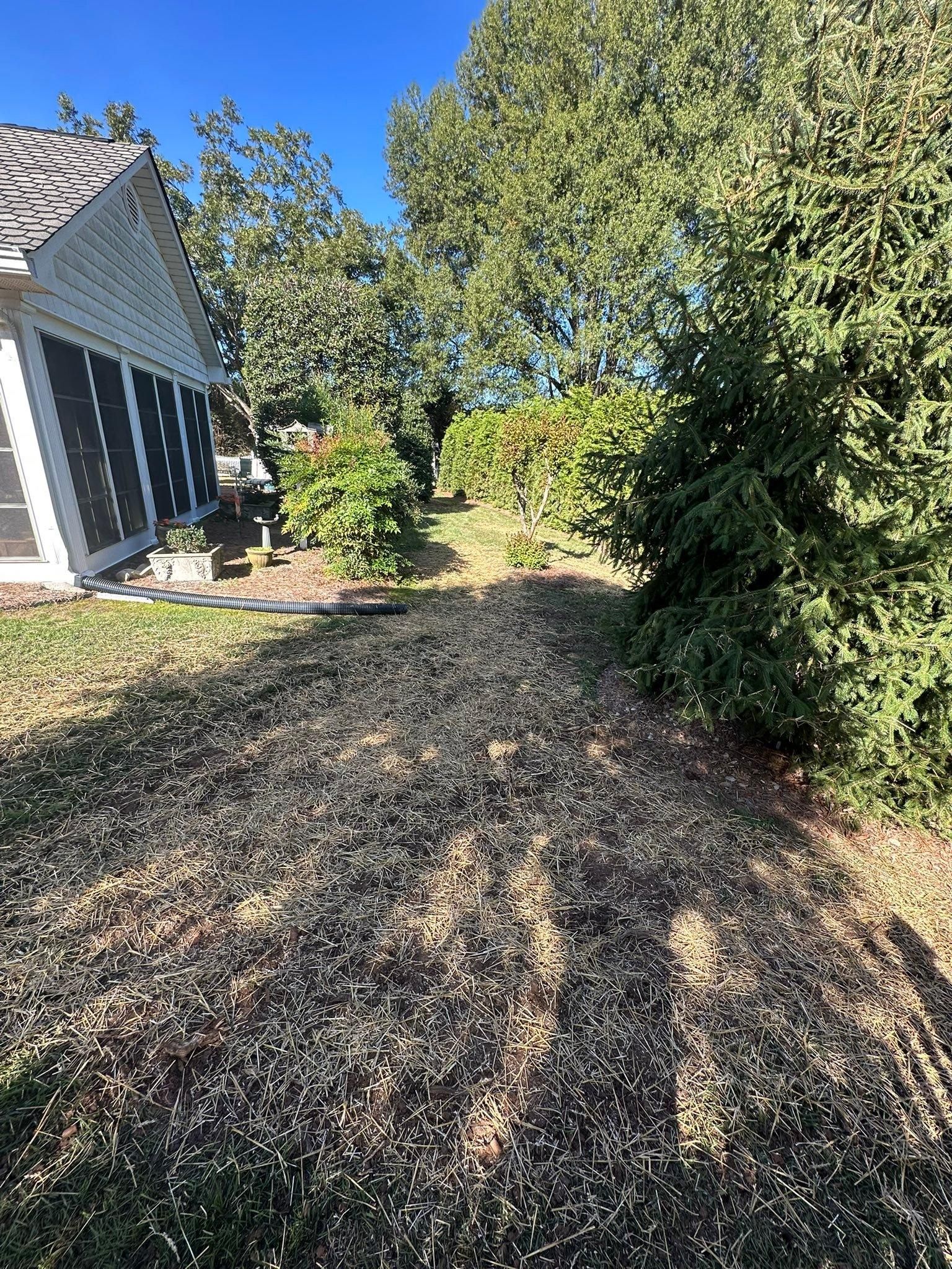  for Queen’s Landscaping in Kernersville, NC