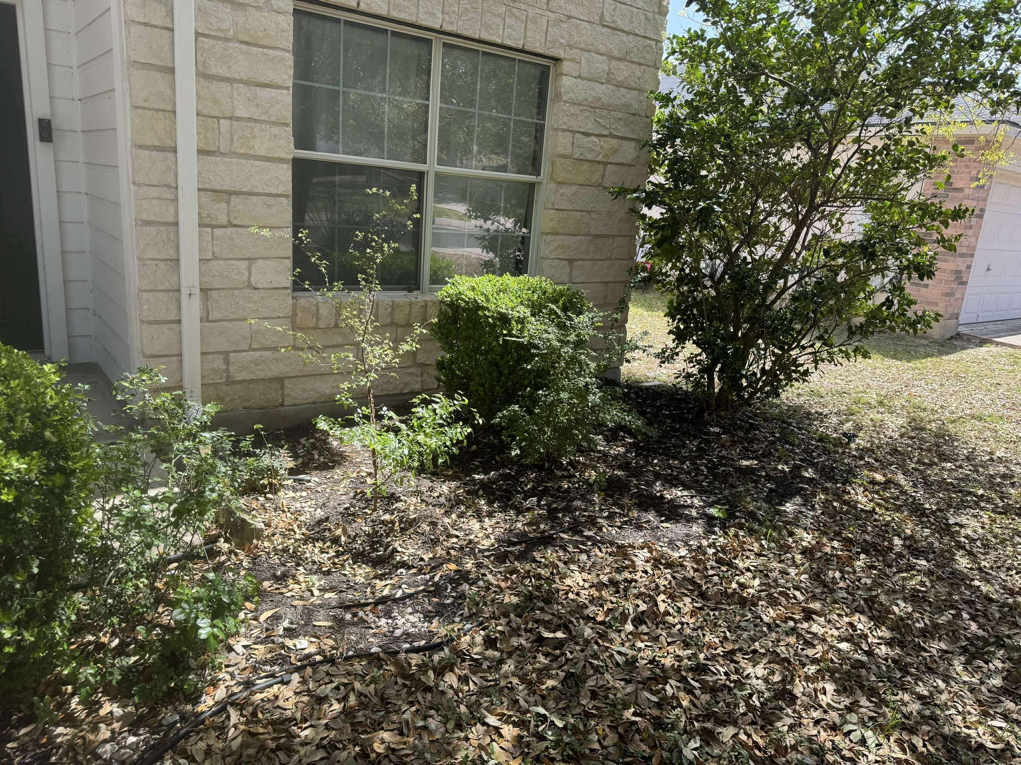 All Photos for Fresh Yards Landscaping in Austin, Texas