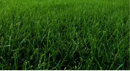  for Green Pro Lawn Care in Greensboro, NC