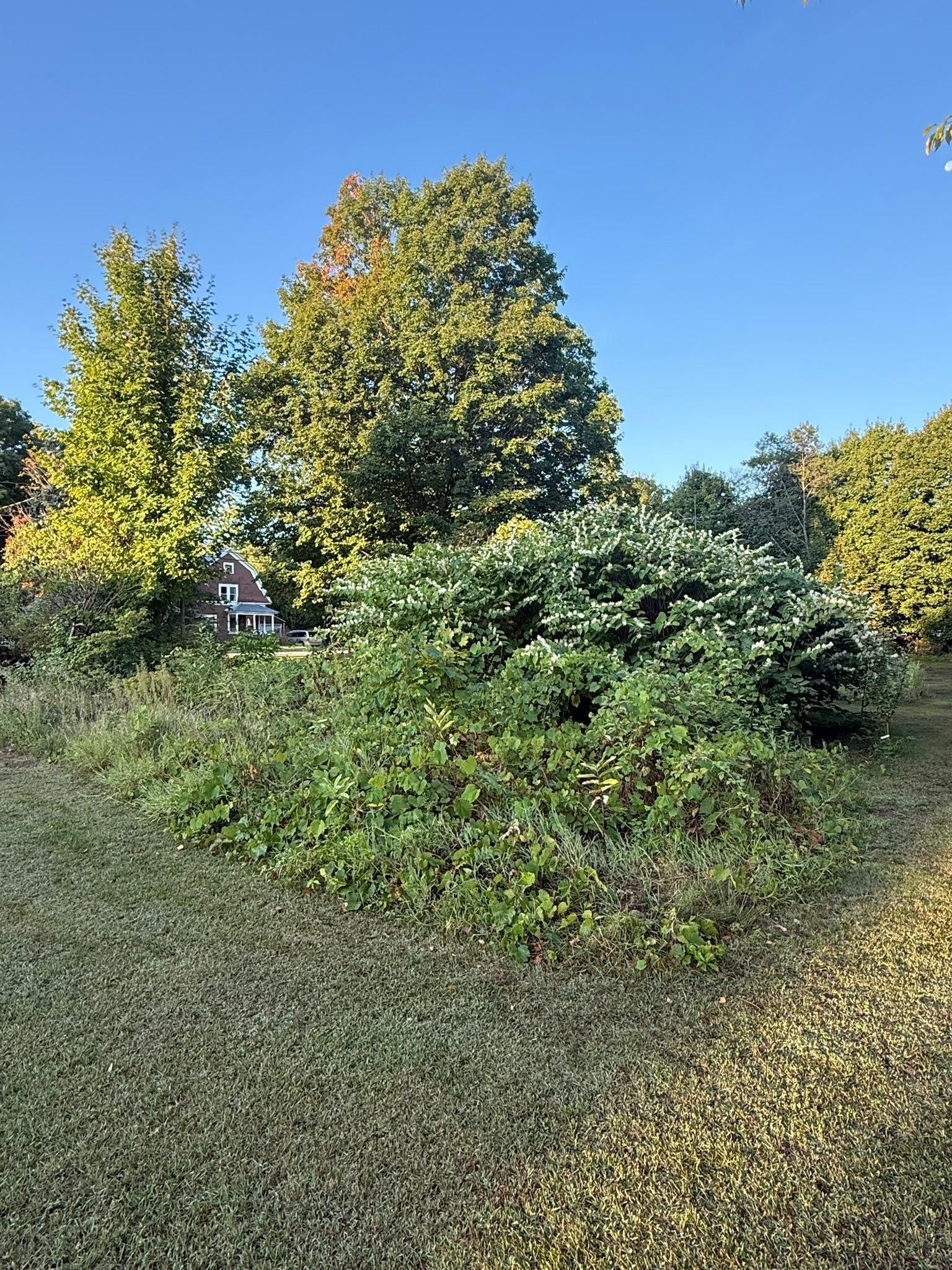 All Photos for Bishop’s Property Maintenance in Franklin, VT