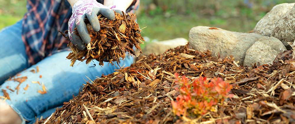  for Pureleaf Lawncare LLC in Springdale, AR