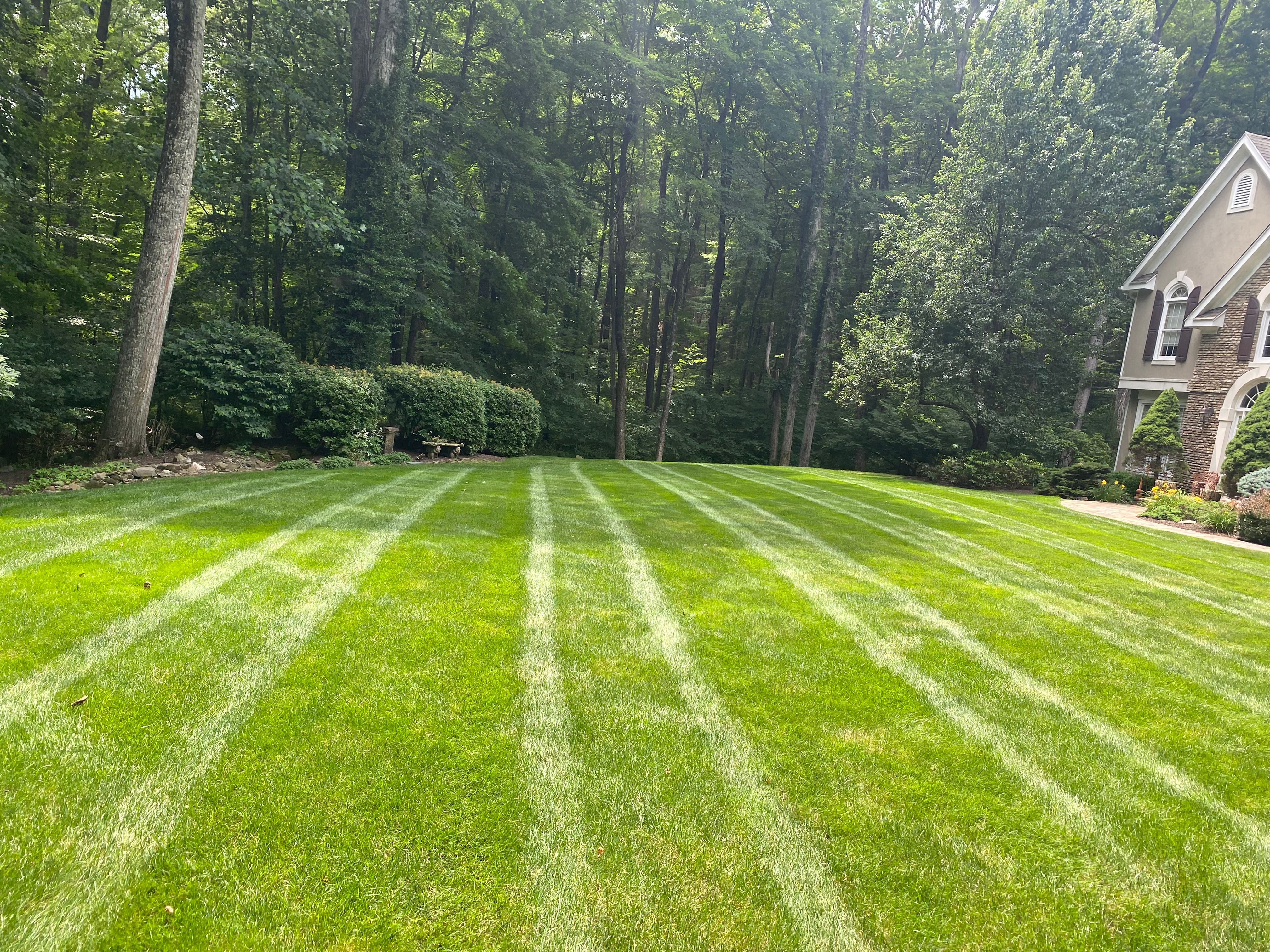  for Stevenson Property Maintenance in Cheshire, CT