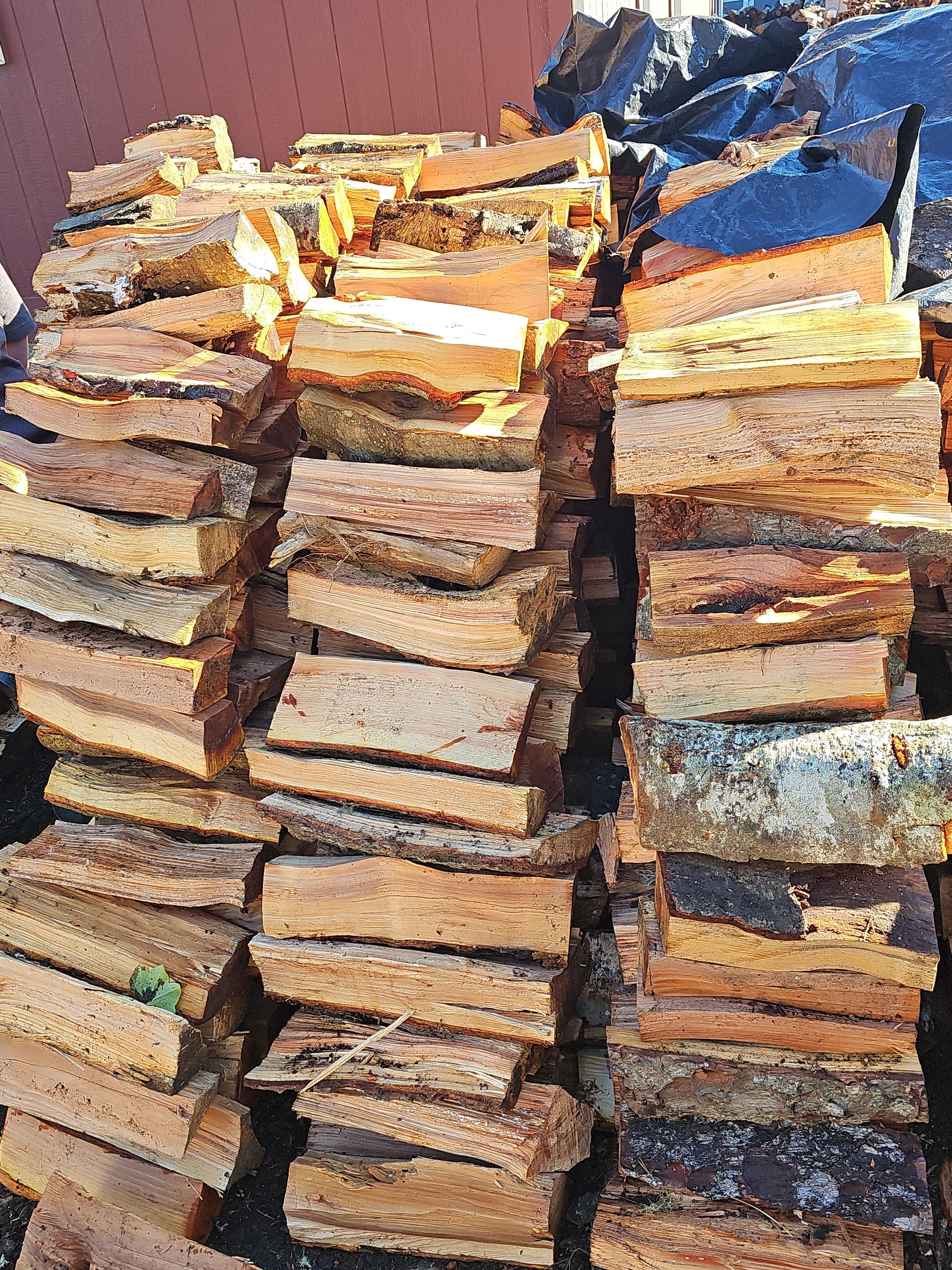 Tree Removal for Trio Tree Services in Ocean Park, WA