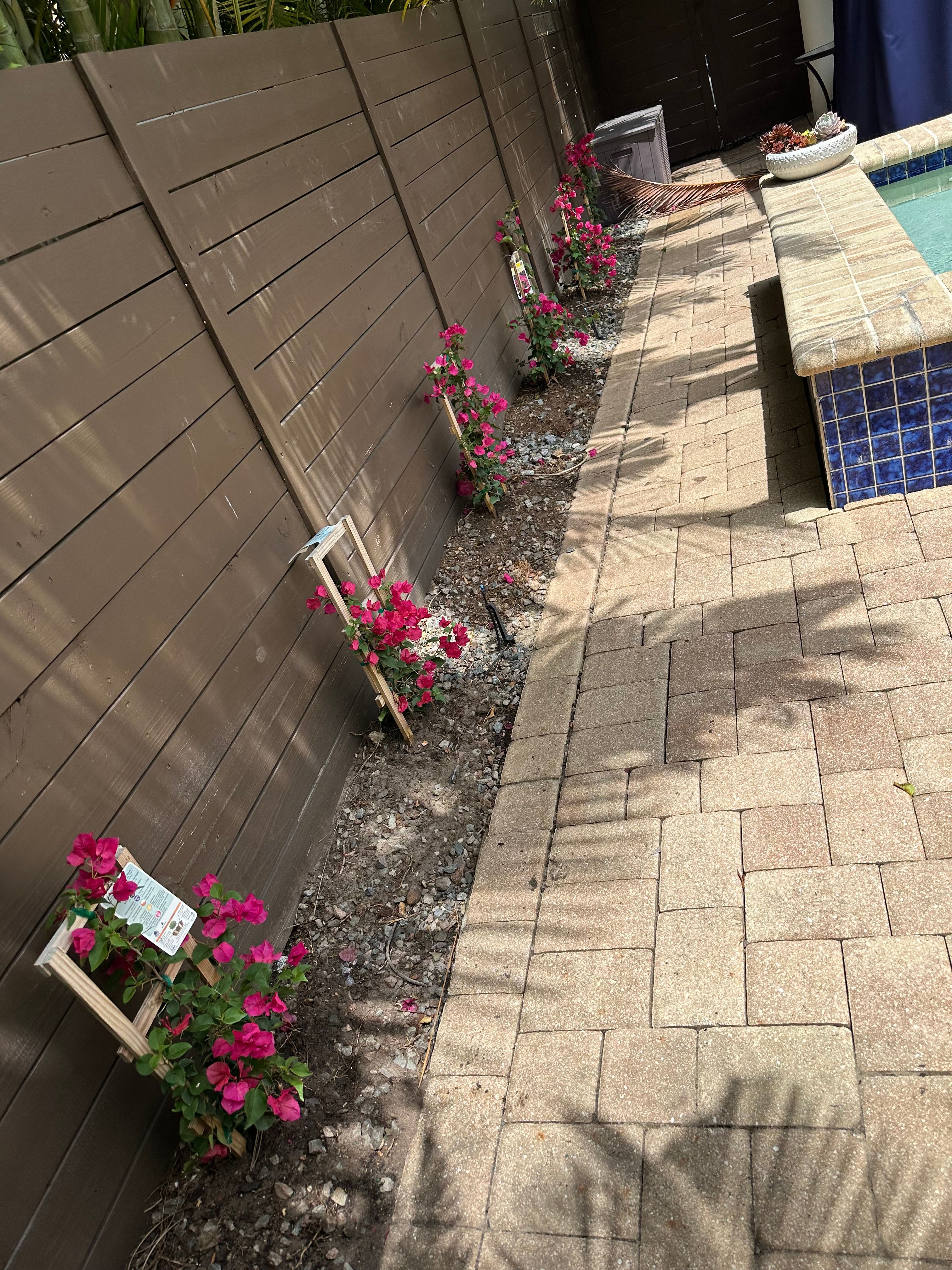  for Gulf Bay Sod in Clearwater, FL