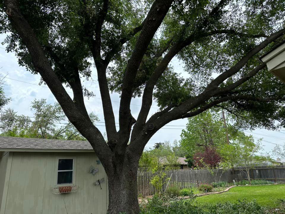 Mowing for Allen Lawn Care in Taylor, Texas