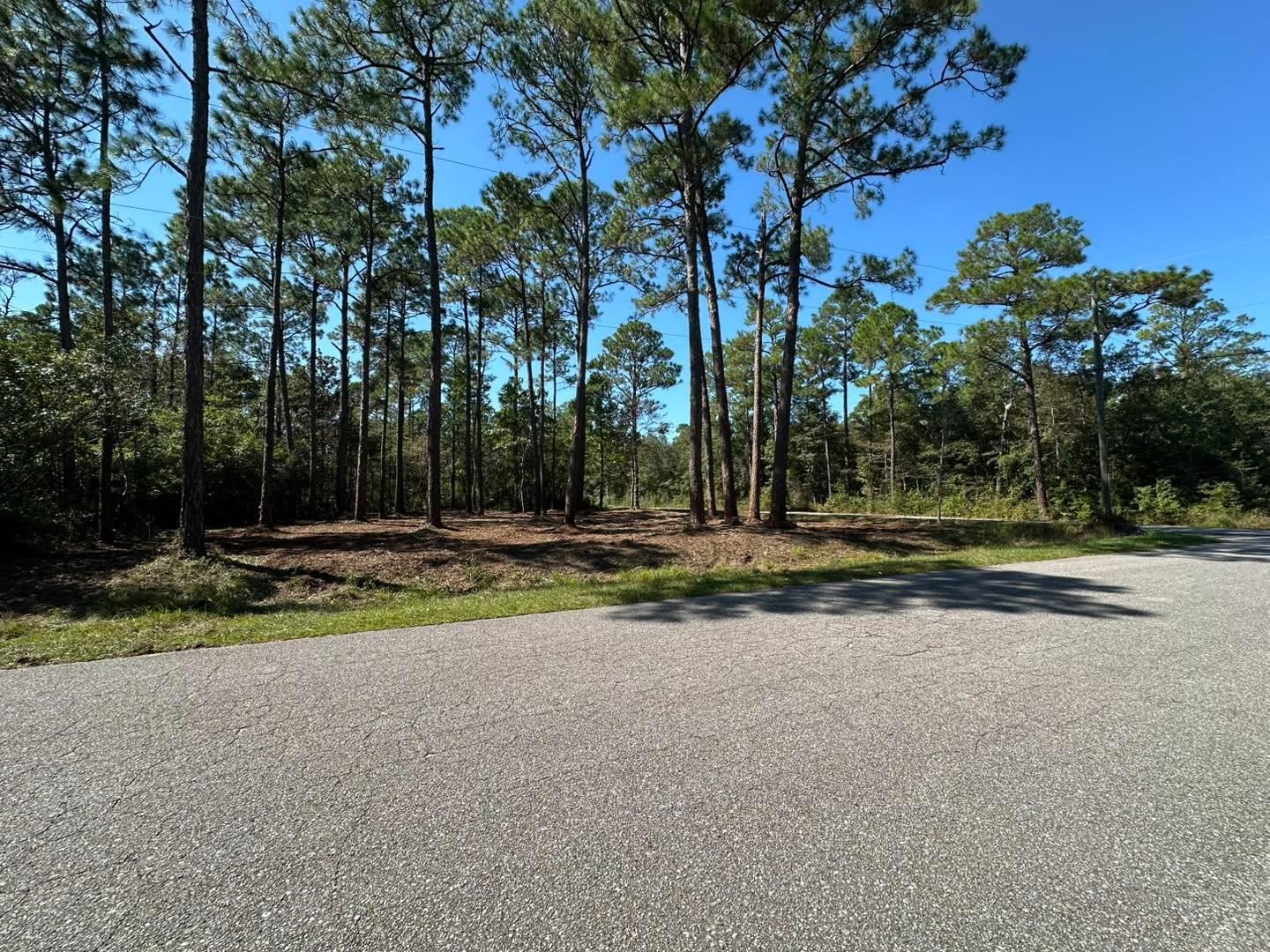  for White’s Land Maintenance in Milton,, FL