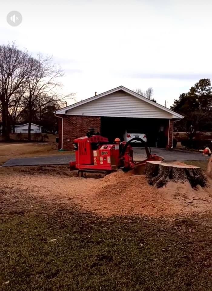  for Falcon stump grinding Tree services in Loganville, GA