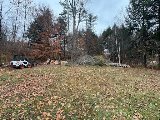  for Clifford’s Quality Tree Care & Landscaping in Enfield, NH