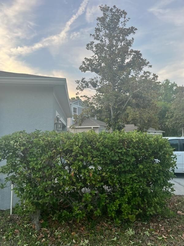  for Mitchell Lawn Service in Odessa, FL