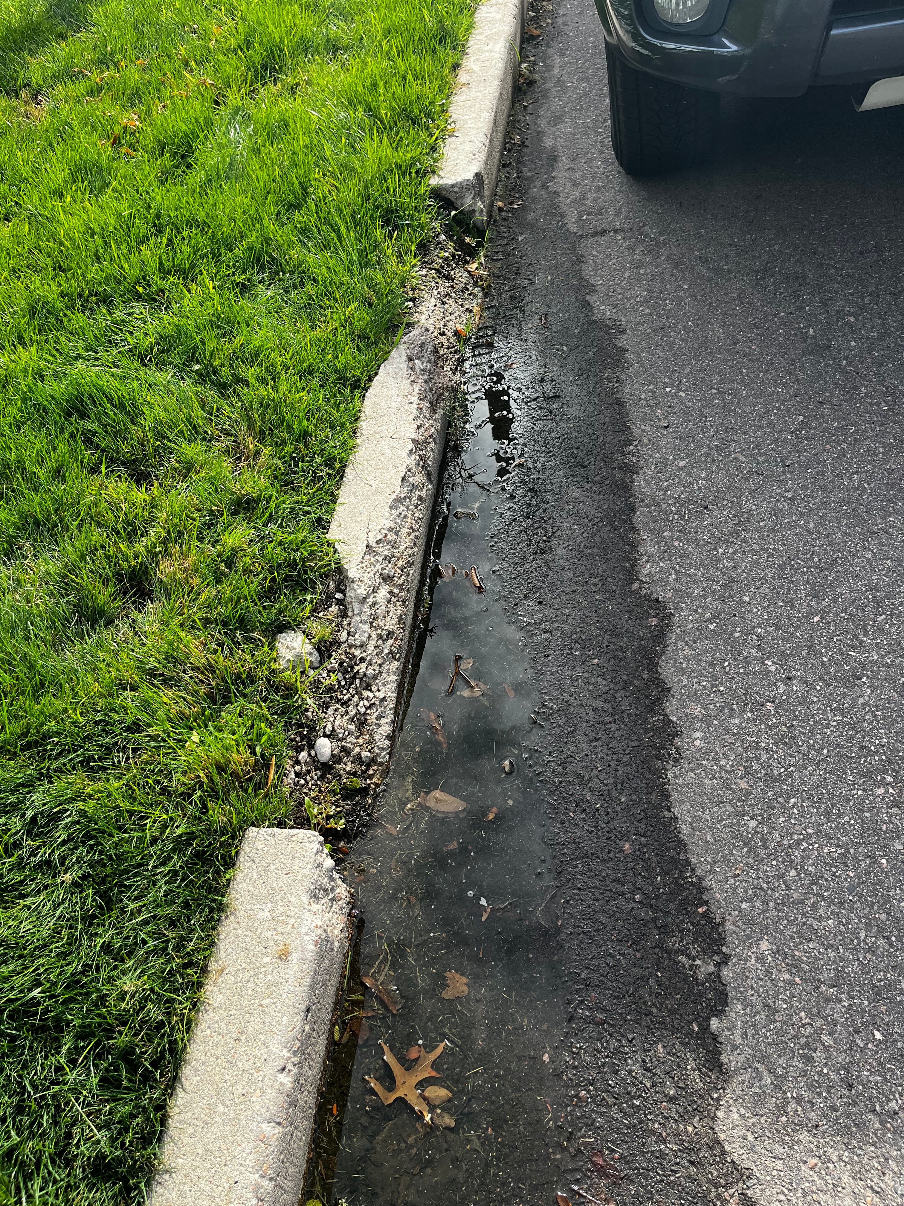  for Curb Appeal Masonry in Aurora, CO