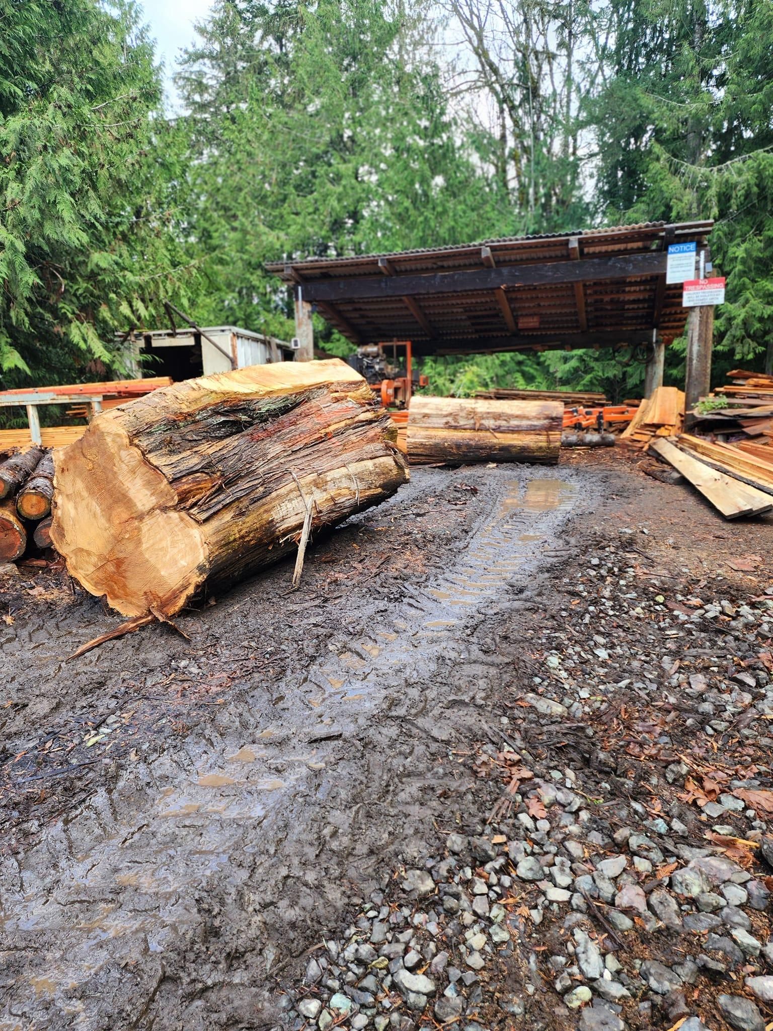  for The Baskins Sawmill in Port Angeles,  WA
