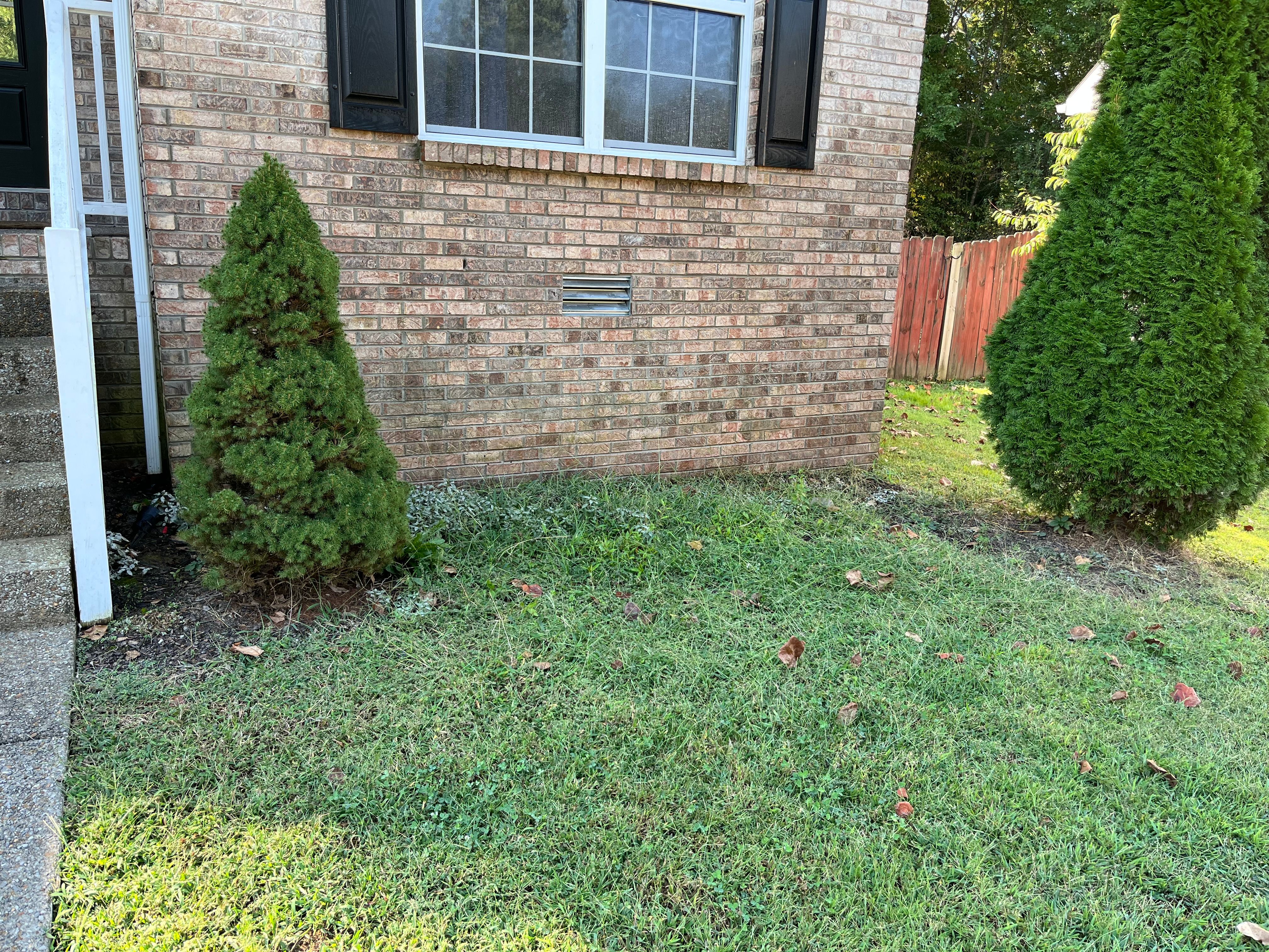 All Photos for Small Town HandyMen in Cross Plains, TN