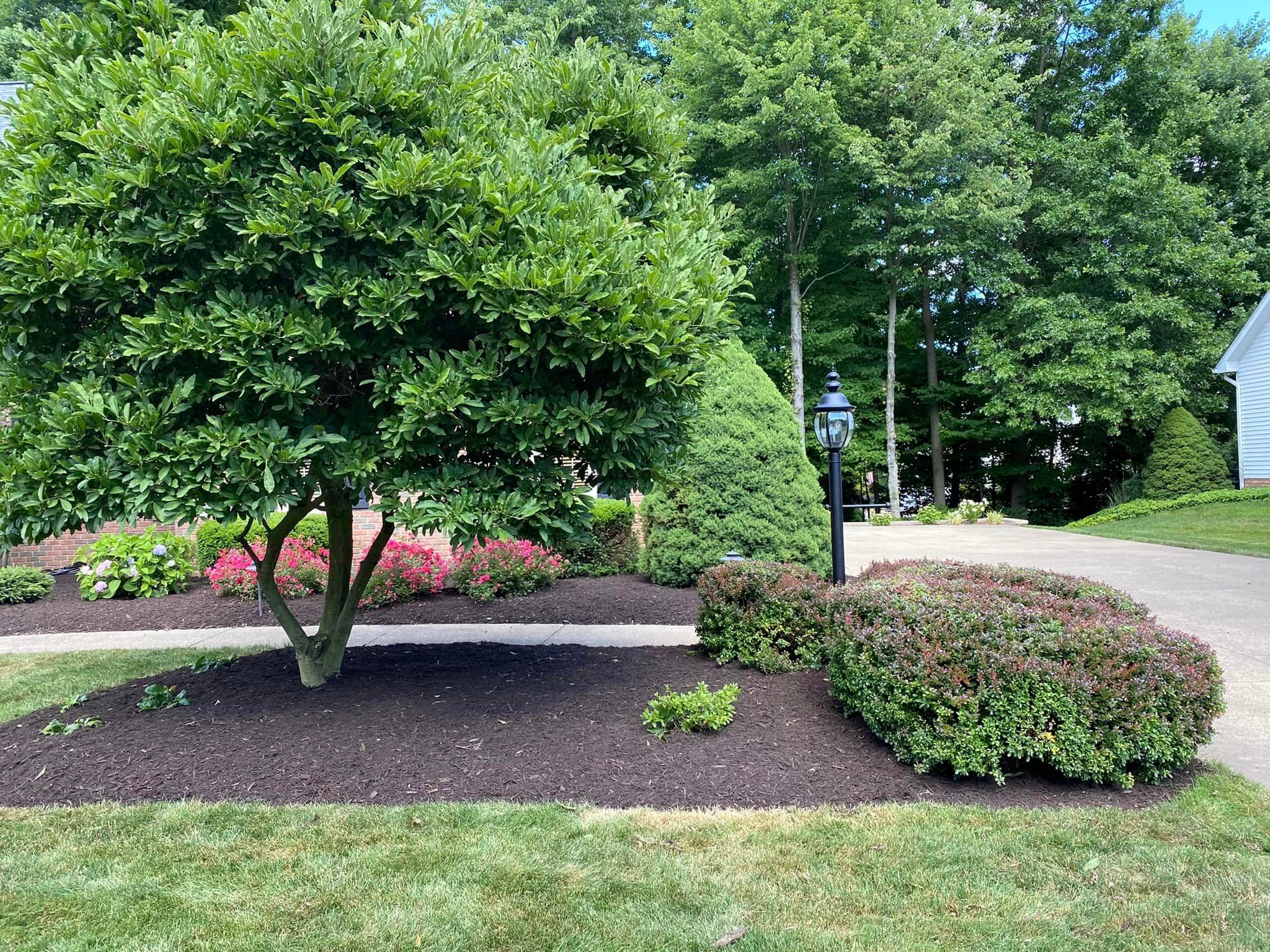 for Jenkins Landscaping & Property Management LLC in Clinton, OH