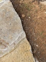  for Rojas Contractors in Fort Worth, TX