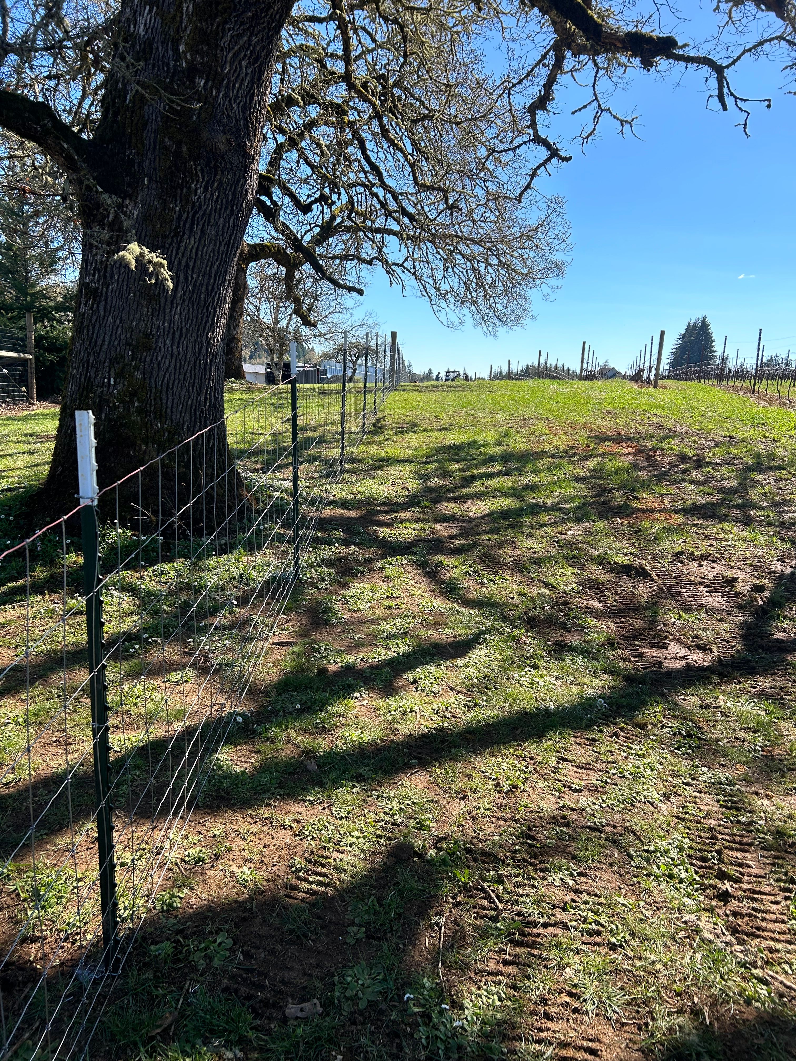  for Ranch Handy Fencing & Cattle LLC in Harrisburg, OR