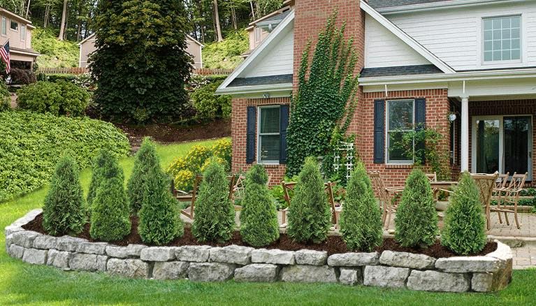 All Photos for S&R Landscaping and Nursery in Charlotte, NC