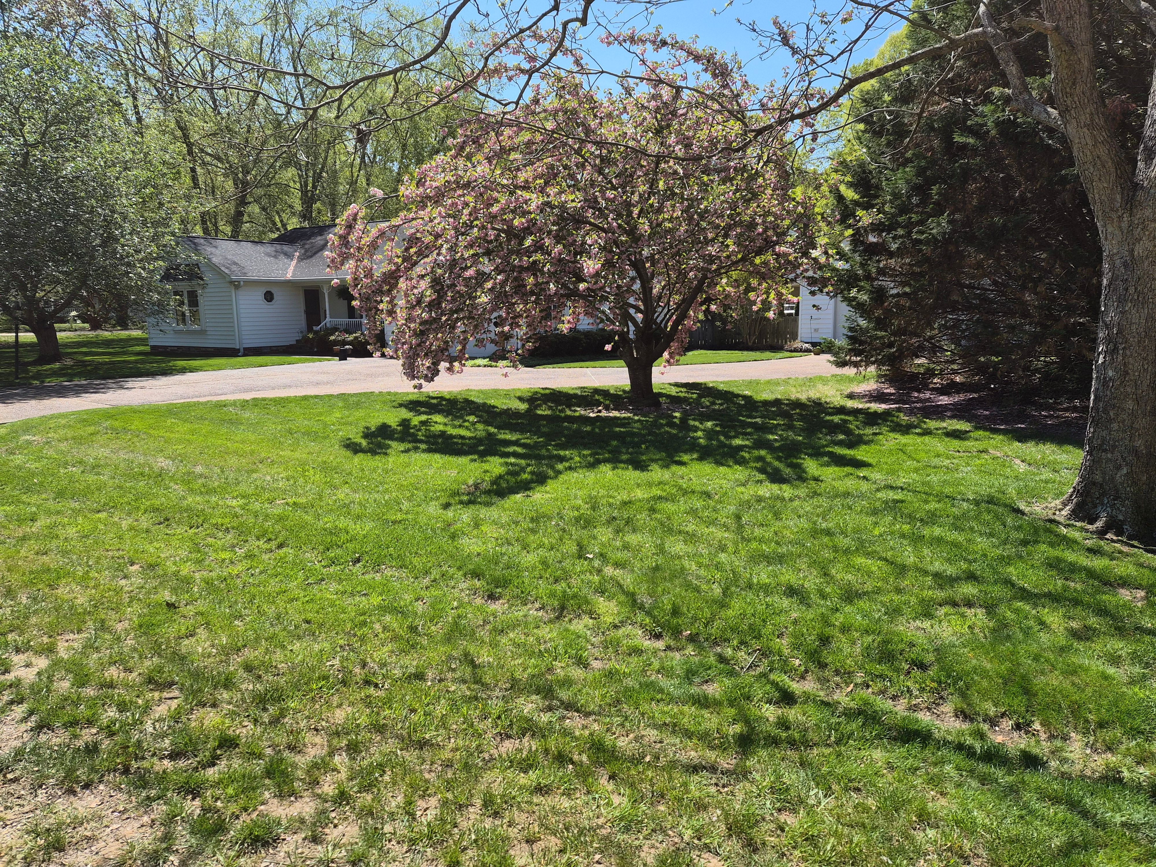 All Photos for 4 Points Lawncare LLC in Hayes, VA