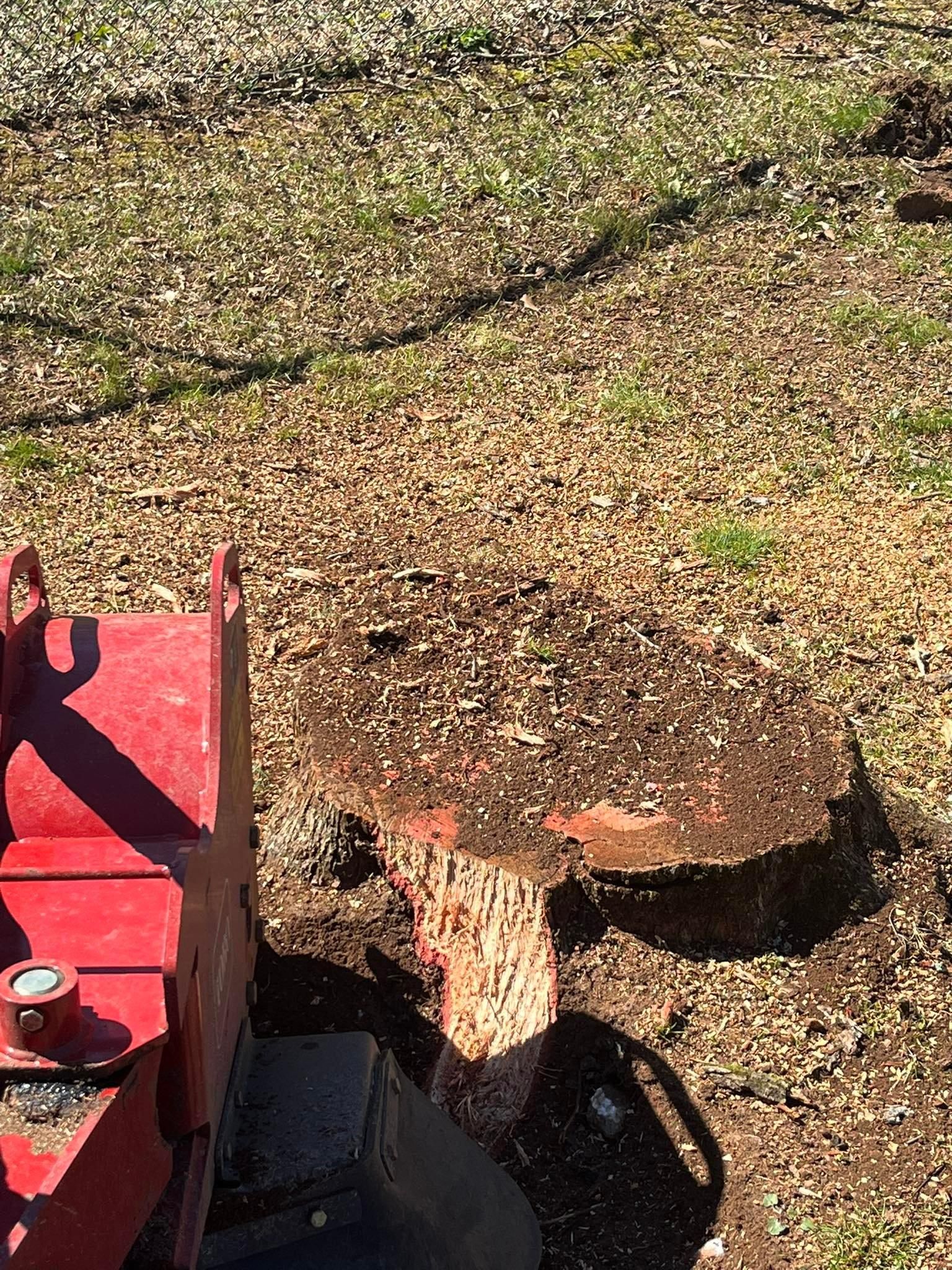 All Photos for Otis Lee Stump Grinding LLC in Elgin, SC