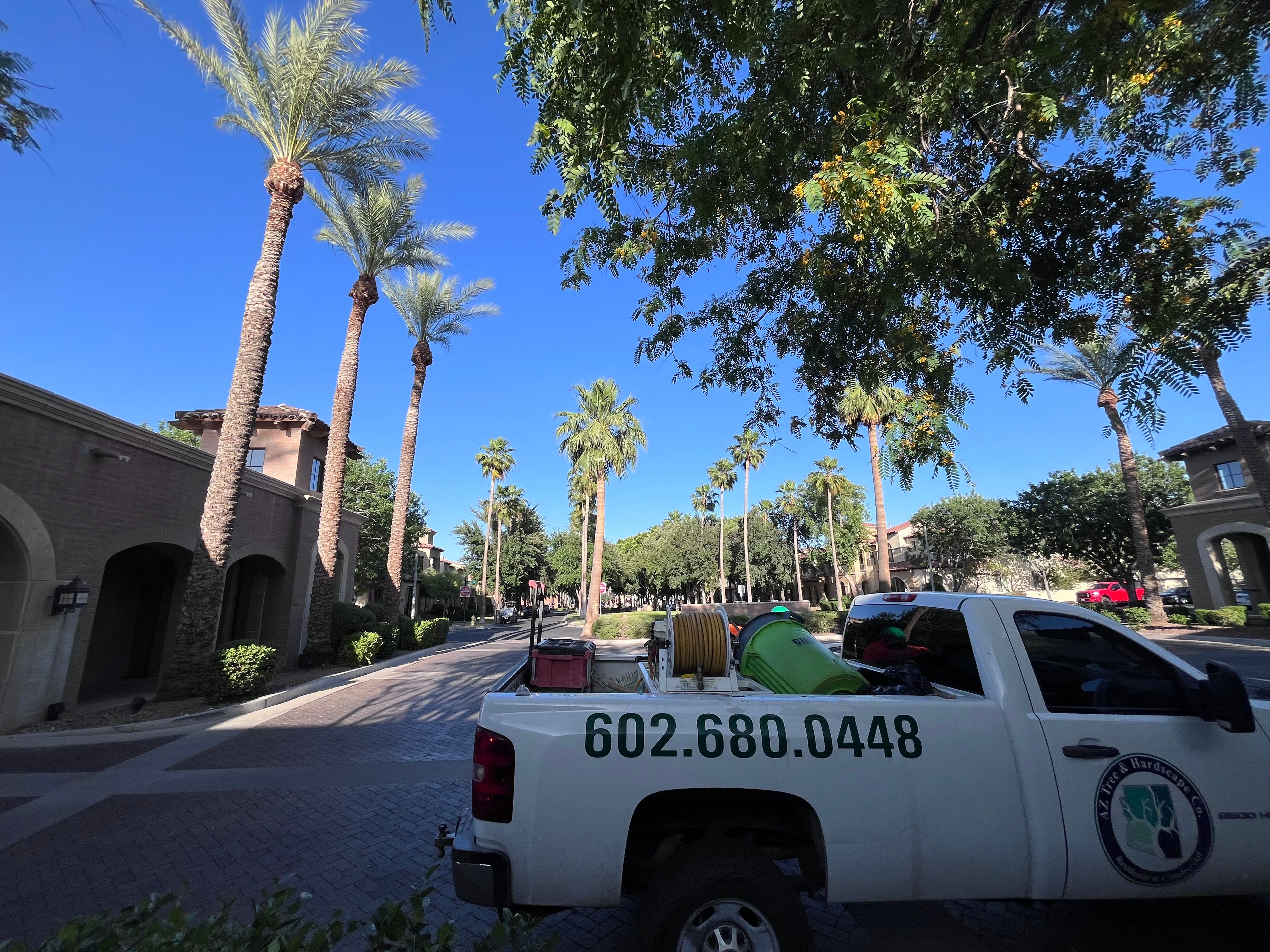  for AZ Tree & Hardscape Co in Surprise, AZ