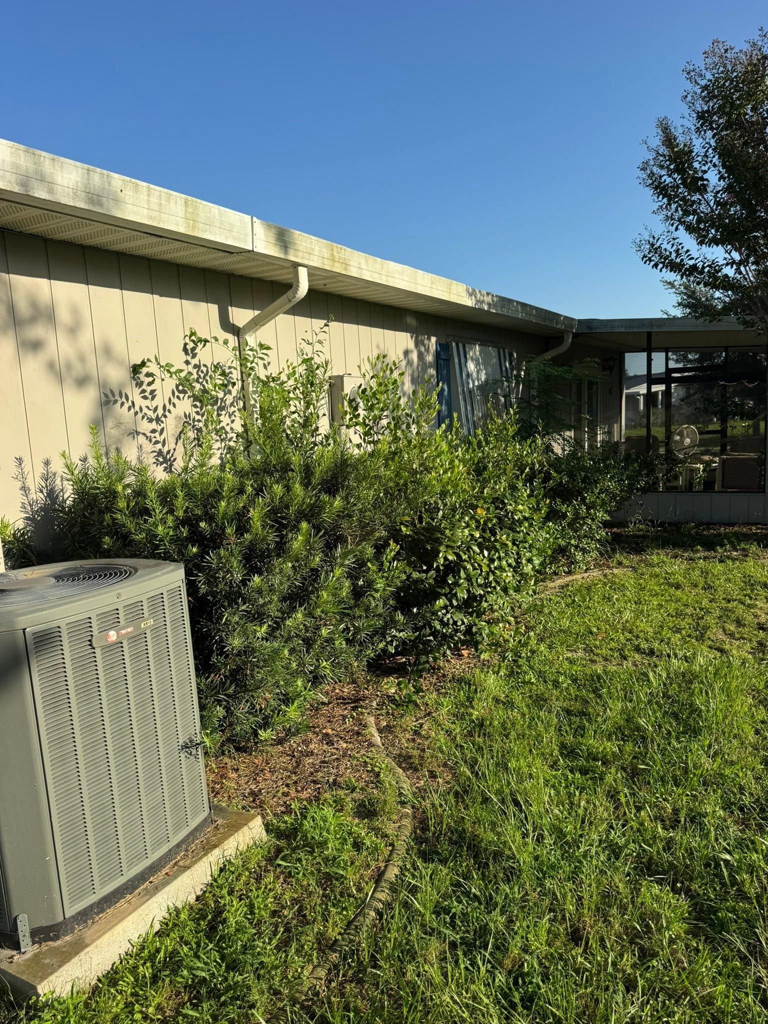 All Photos for Young's Lawn Services LLC in Ocala, FL