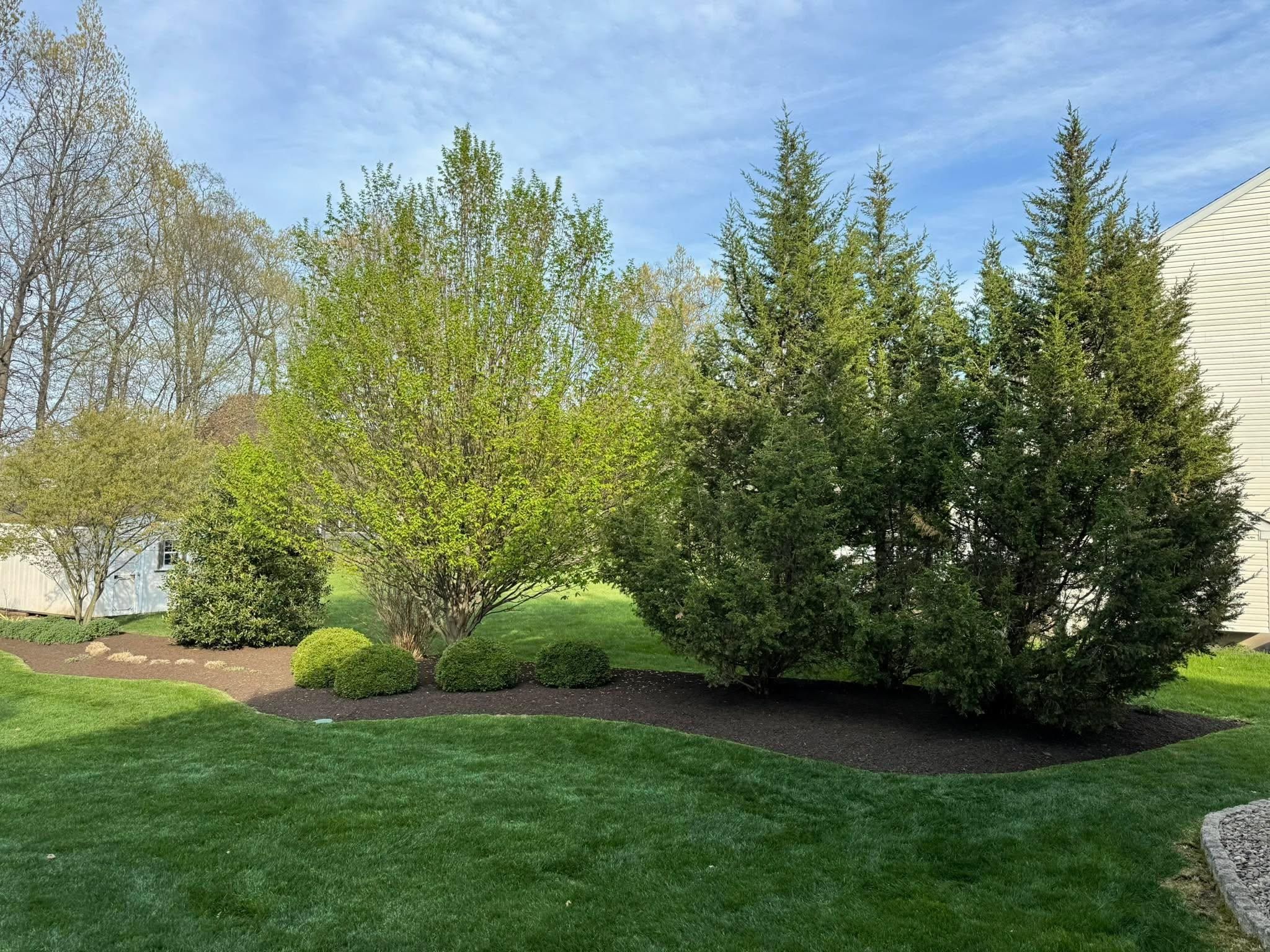 All Photos for The FAAR Group INC in Chalfont, PA