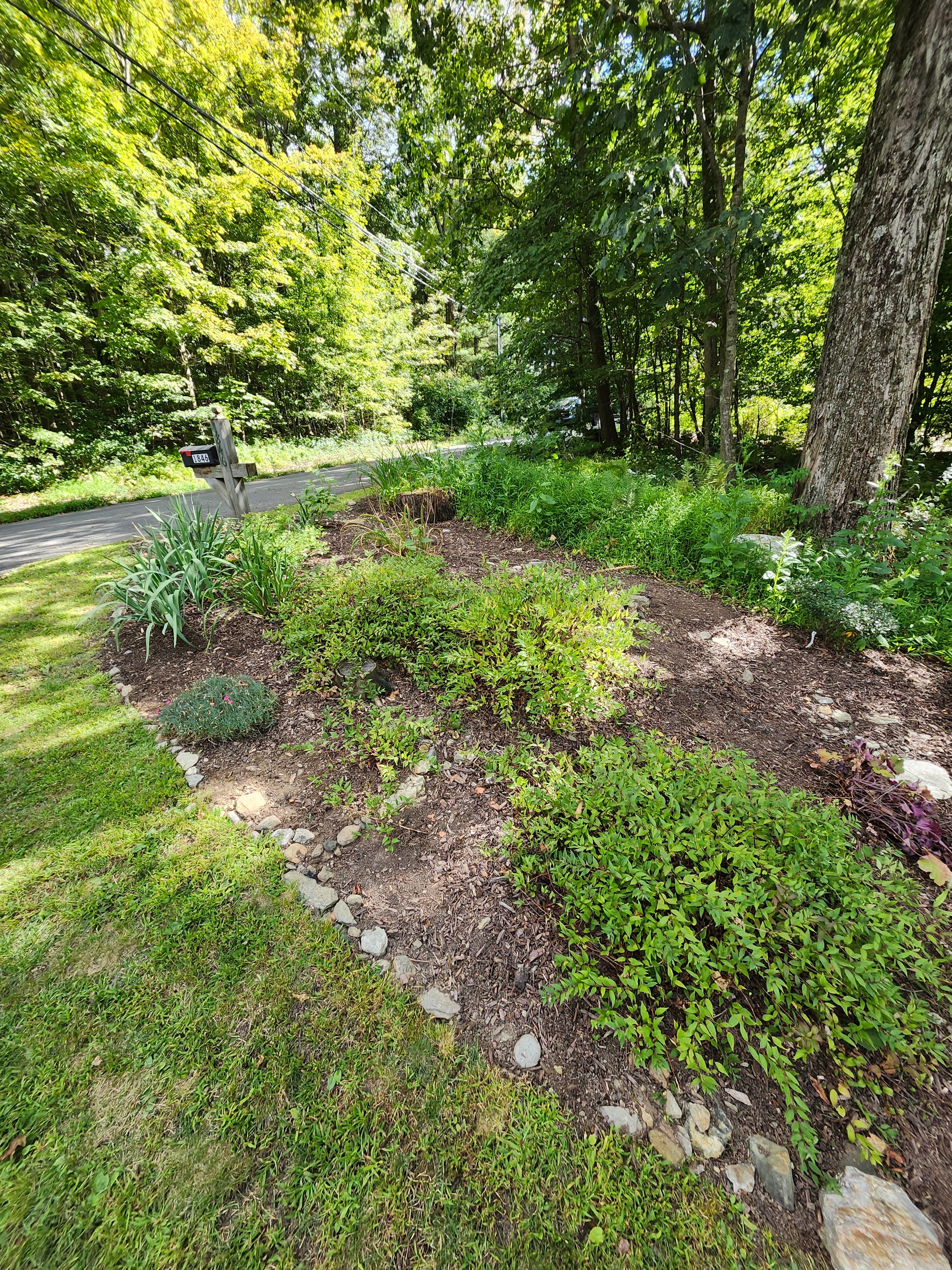 Muclhing & Weeding for Landscape Innovations LLC in Torrington, CT