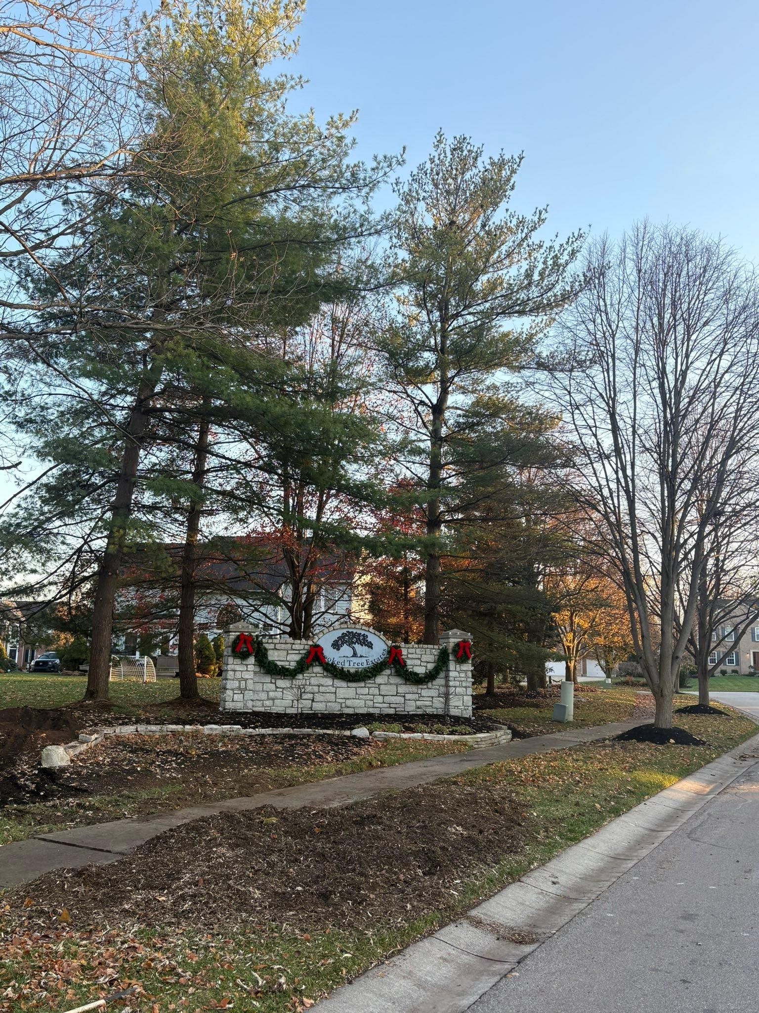  for Dig-It Tree Company in Mason, OH