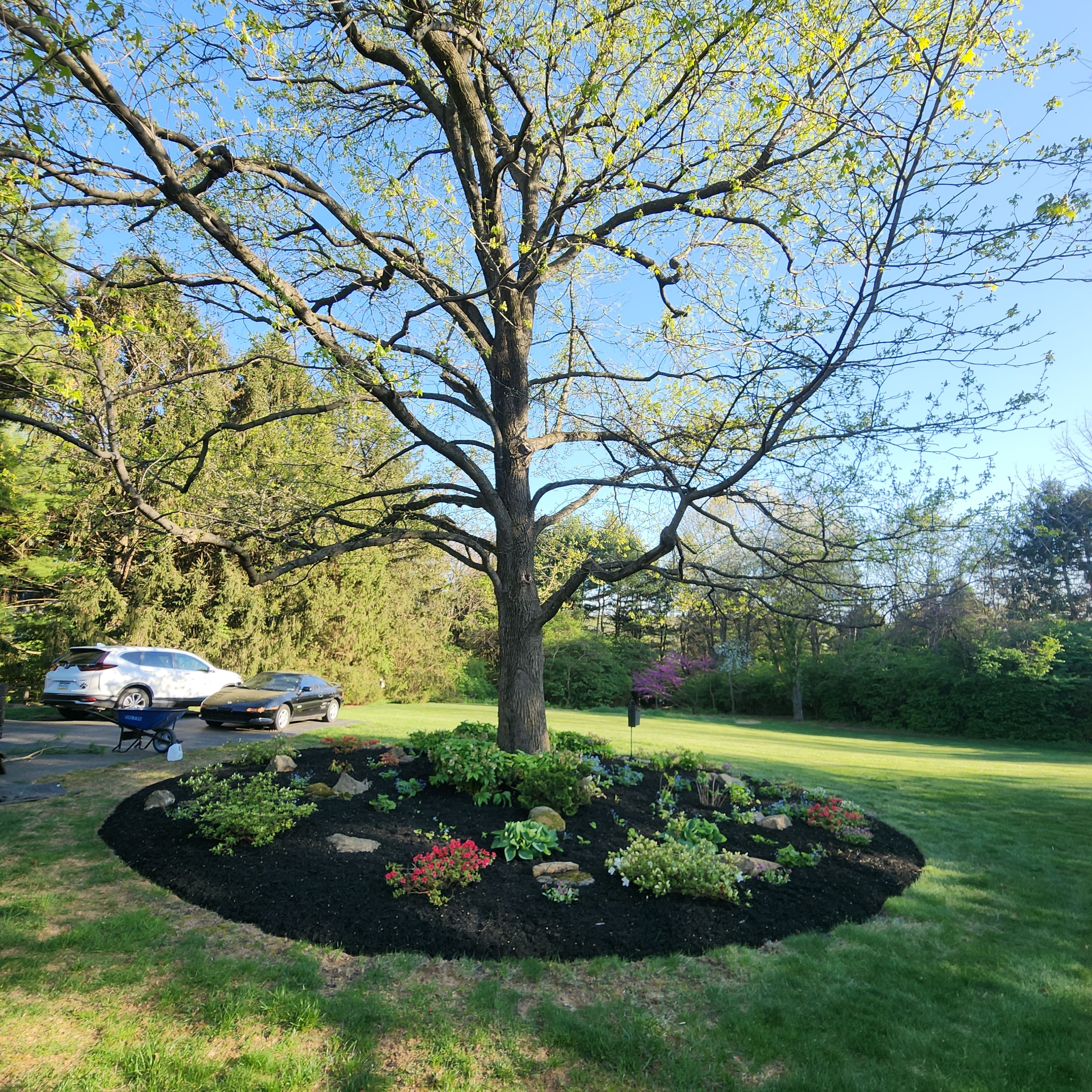  for Wiley Landscape Design in York, PA