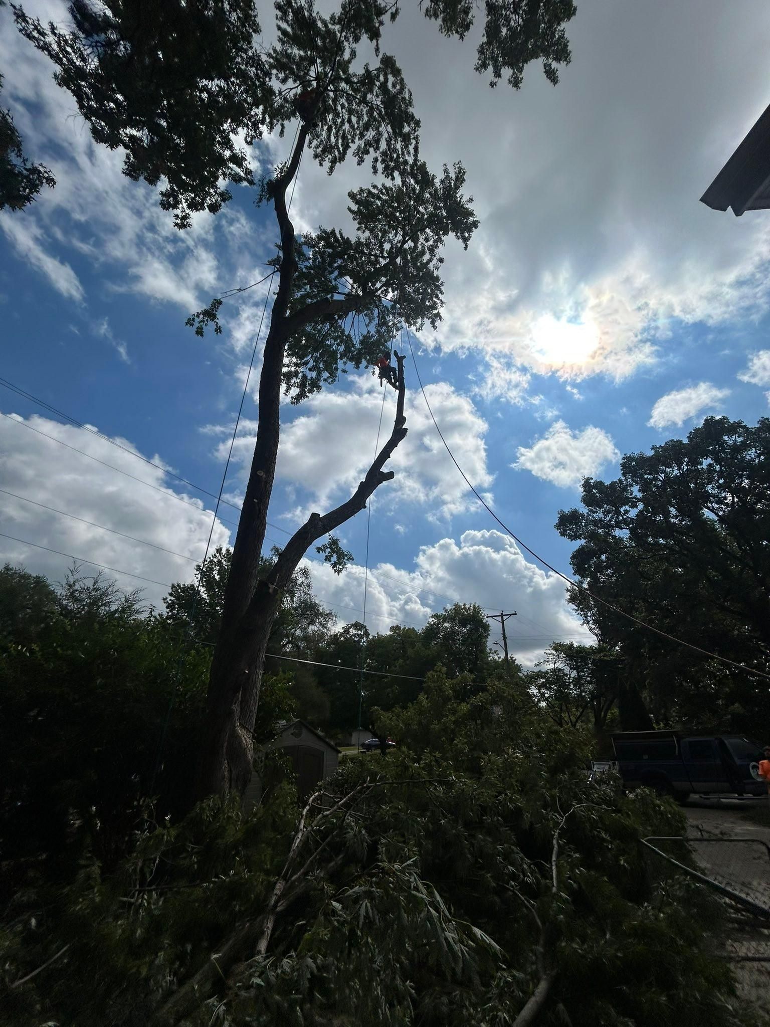 All Photos for Cross Family Tree Service in Kearney, MO