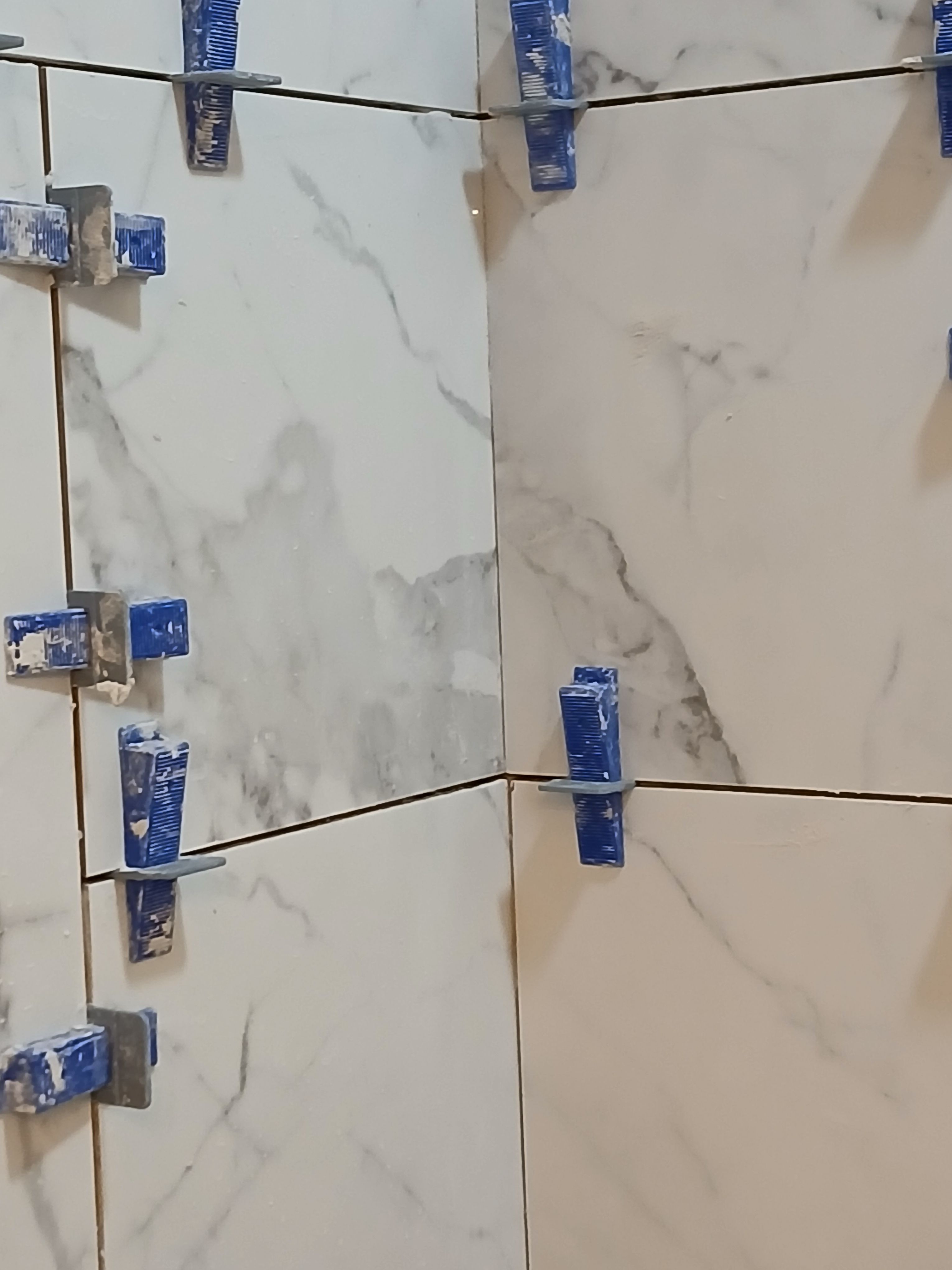  for Dead Tree General Contracting in Carbondale, Illinois