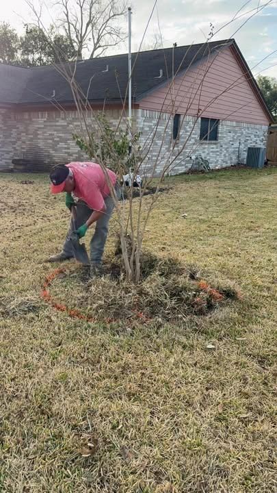  for Texas Curb N Borders in Houston, TX